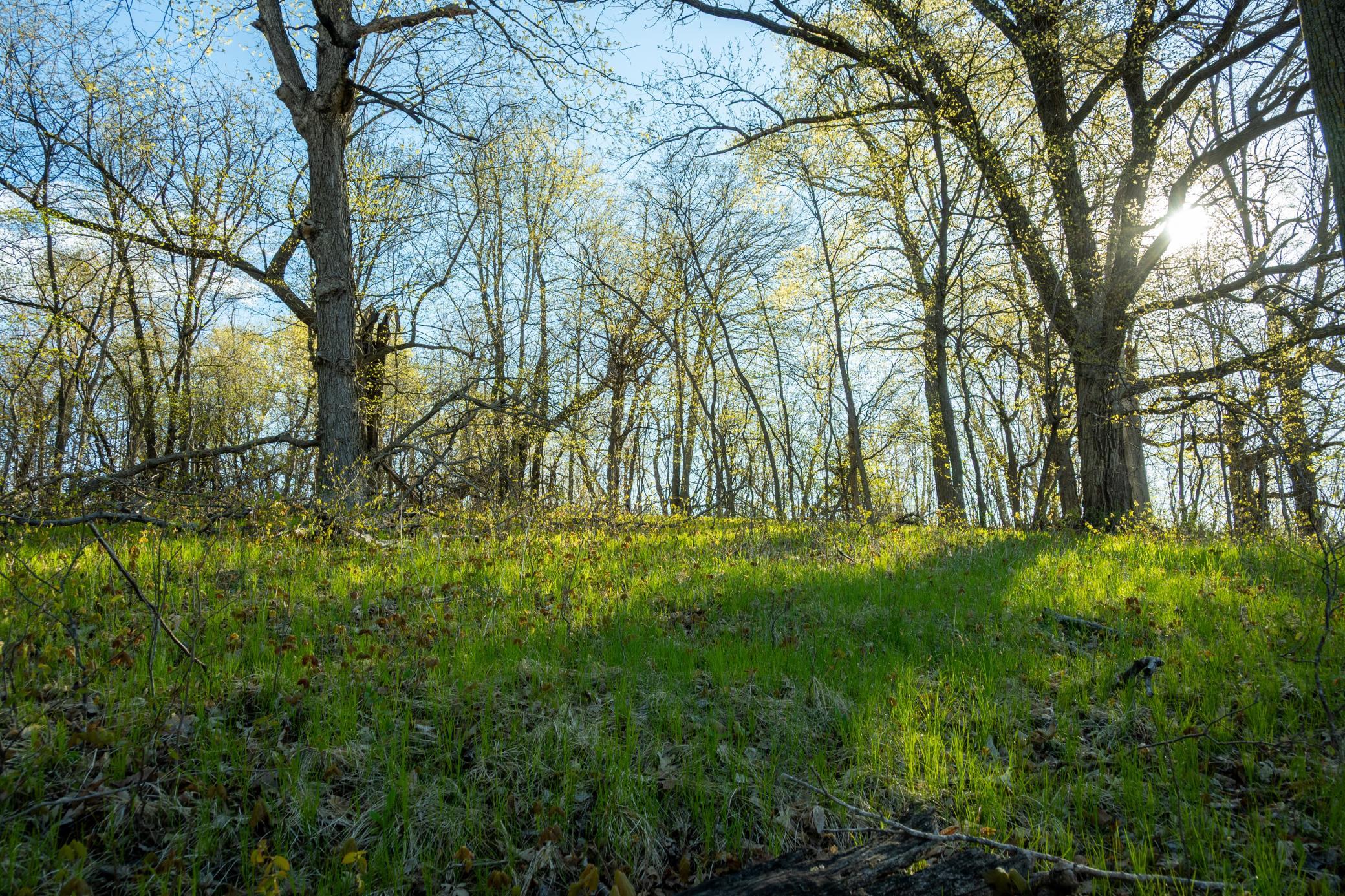 Tract A - Tbd State Highway 108 Property Photo 15