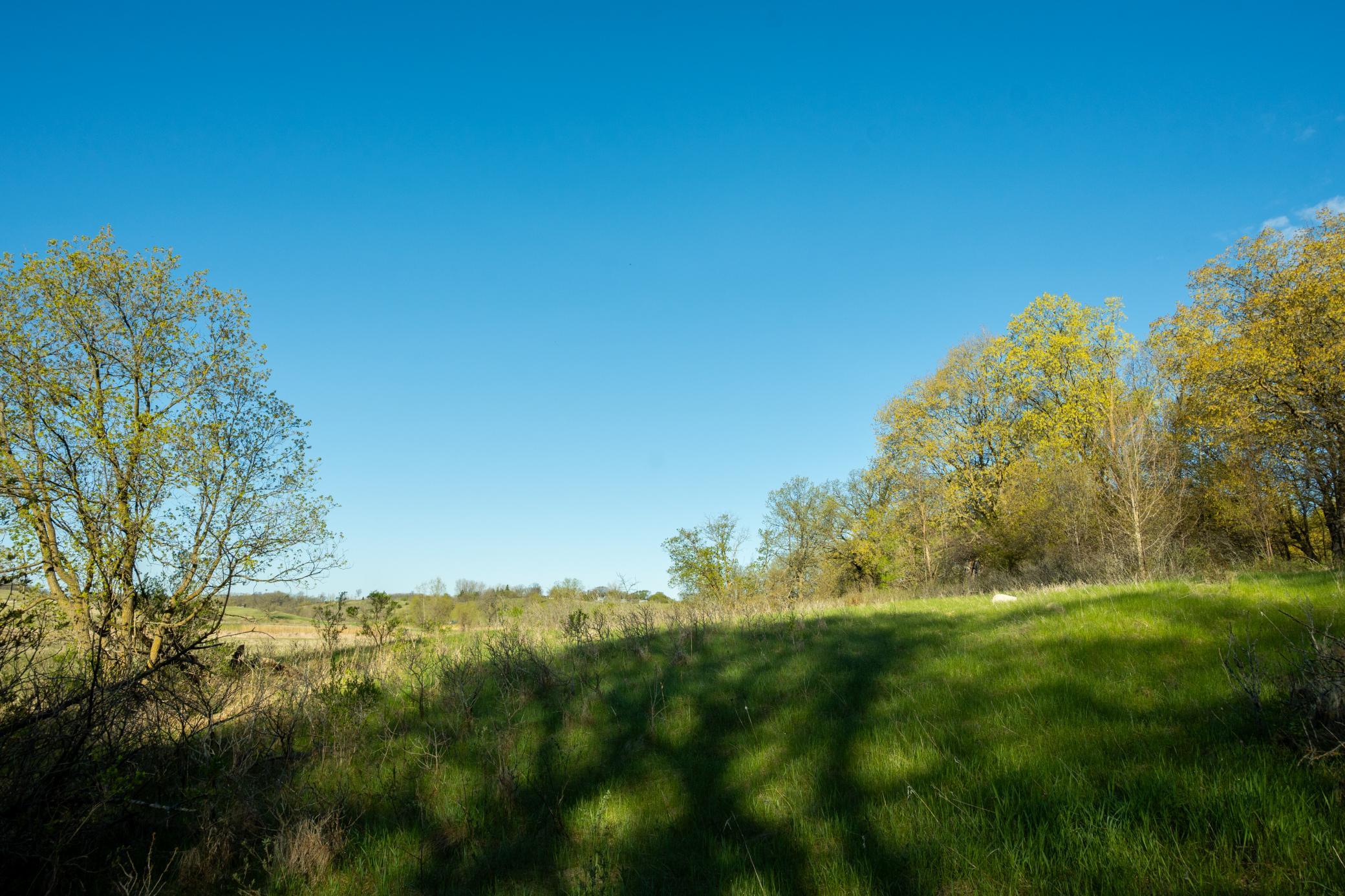 Tract A - Tbd State Highway 108 Property Photo 16