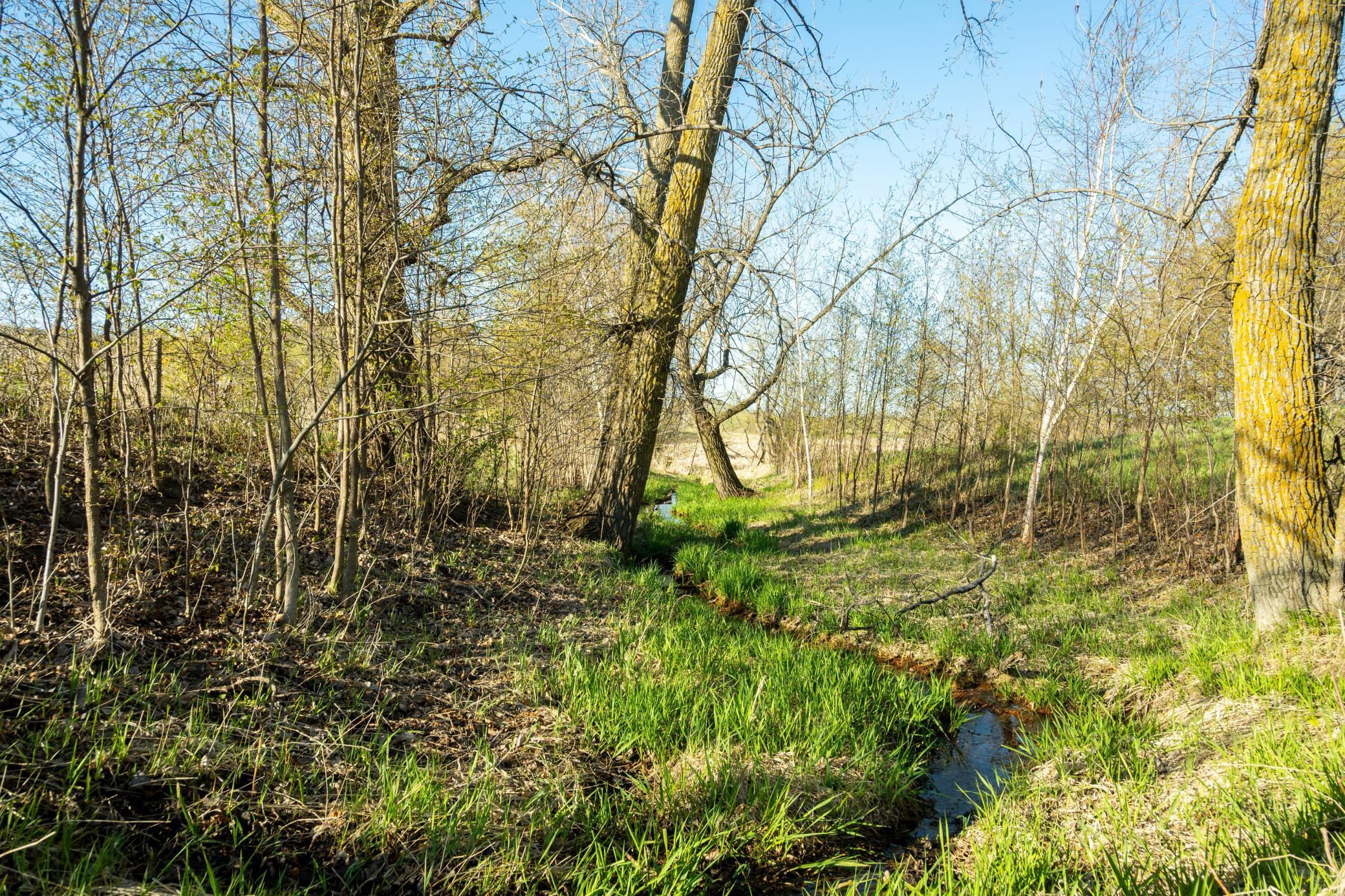 Tract A - Tbd State Highway 108 Property Photo 17