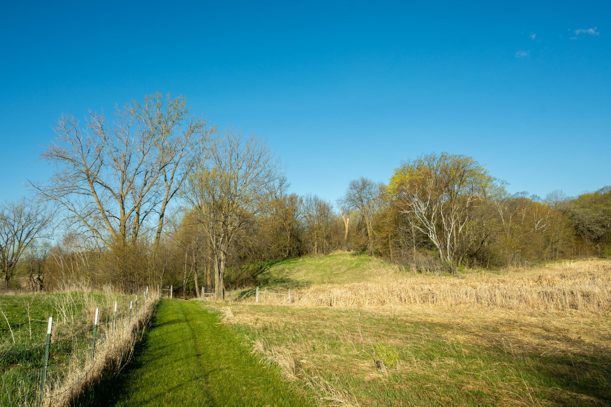 Tract A - Tbd State Highway 108 Property Photo 18