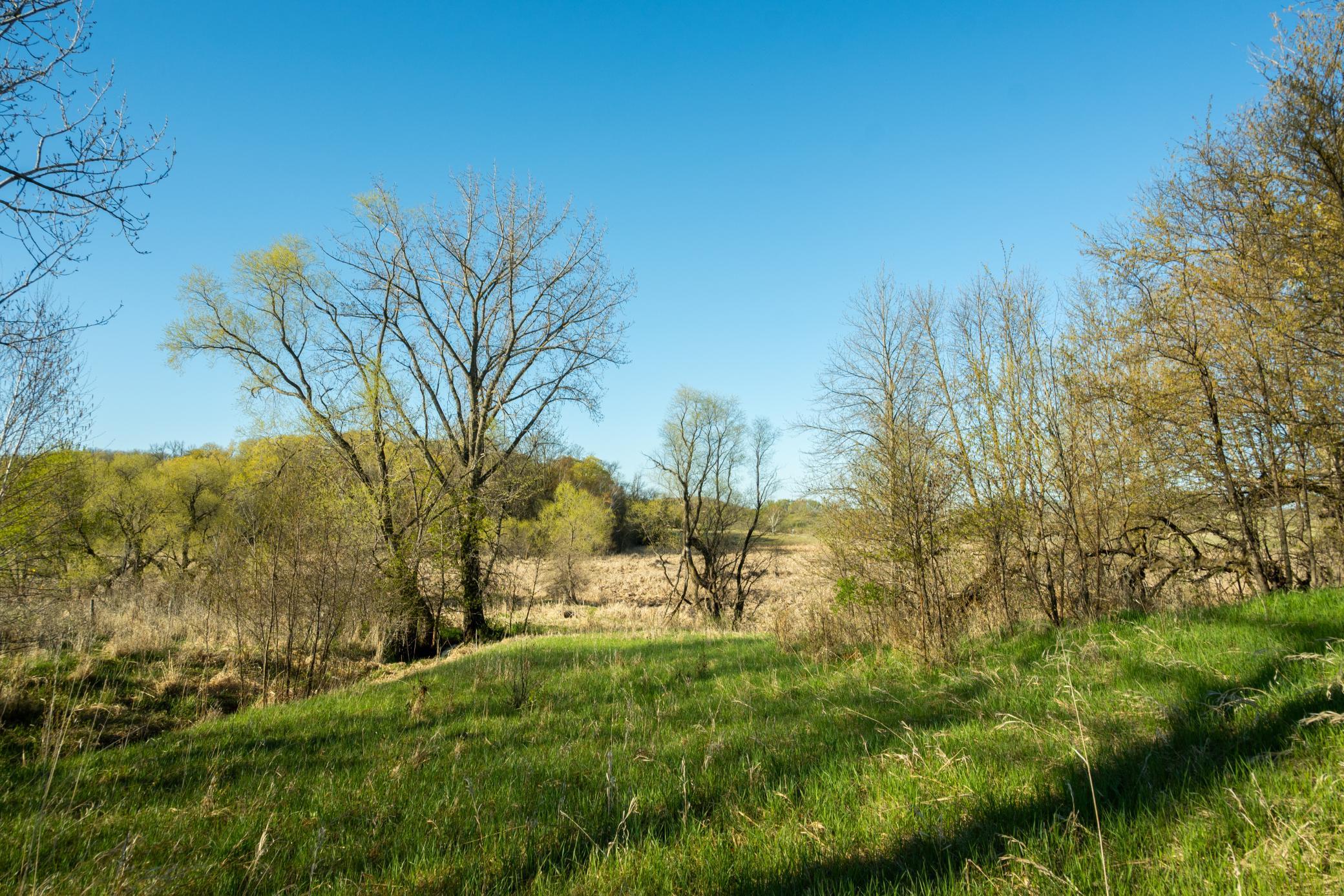 Tract A - Tbd State Highway 108 Property Photo 19