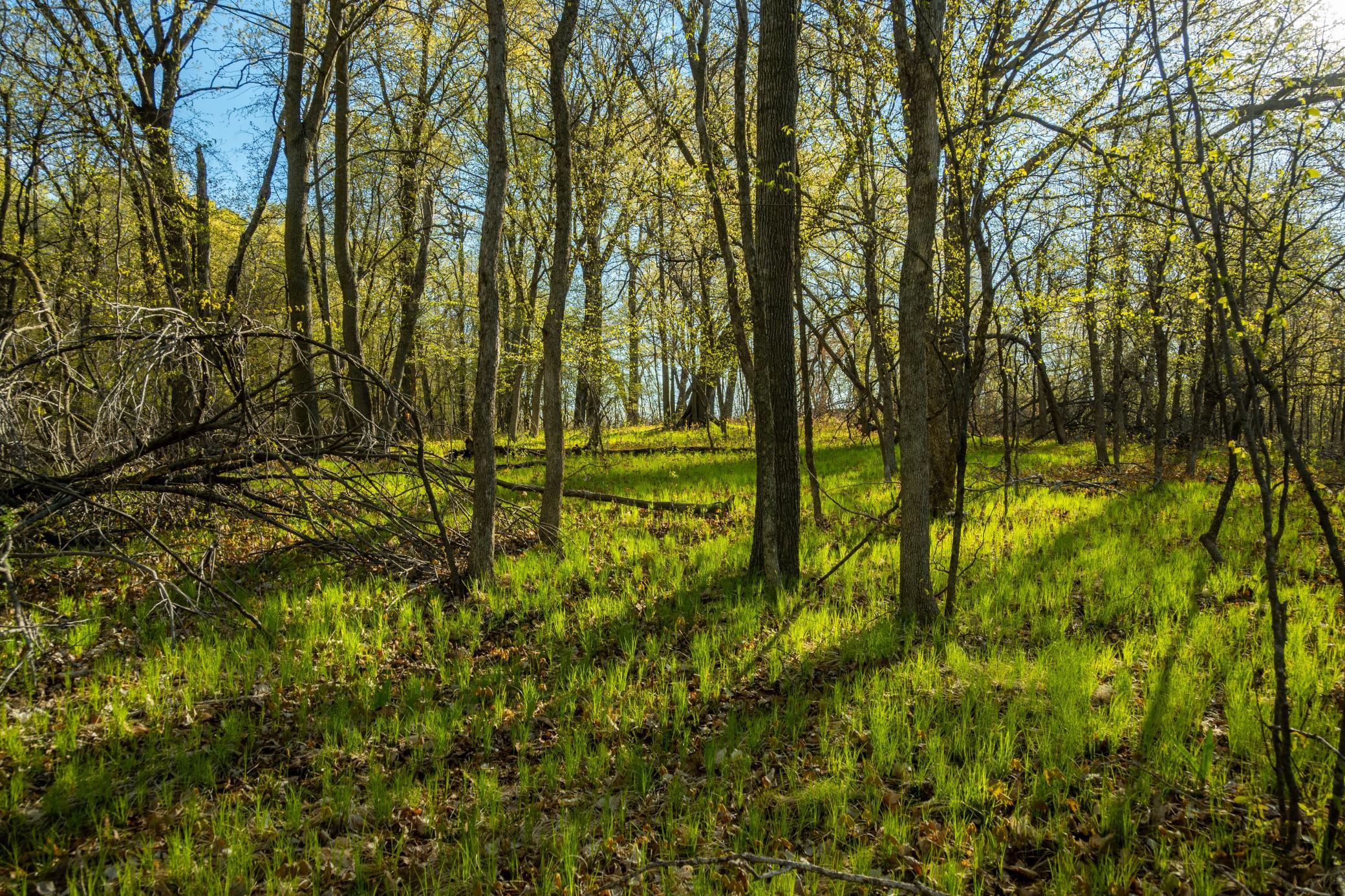 Tract A - Tbd State Highway 108 Property Photo 20