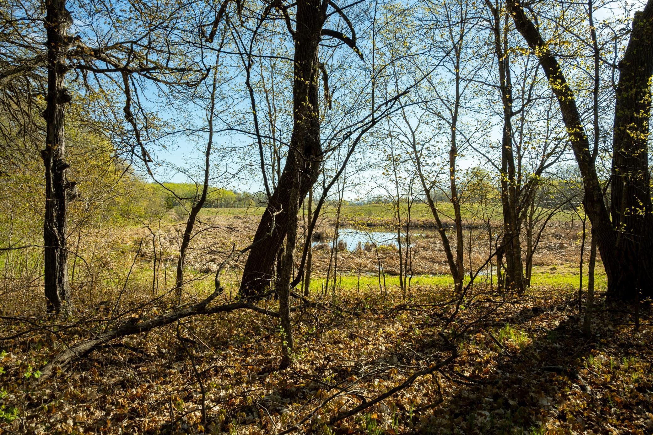 Tract A - Tbd State Highway 108 Property Photo 21