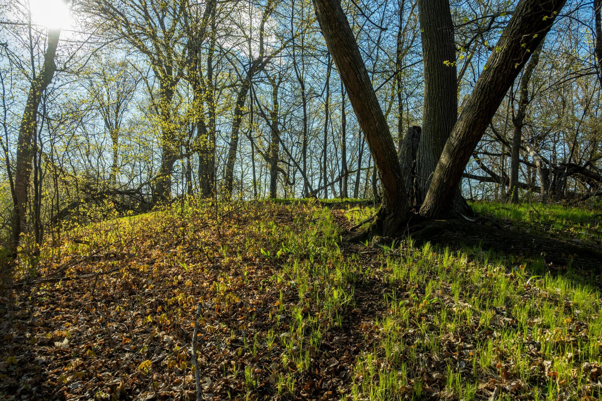Tract A - Tbd State Highway 108 Property Photo 22