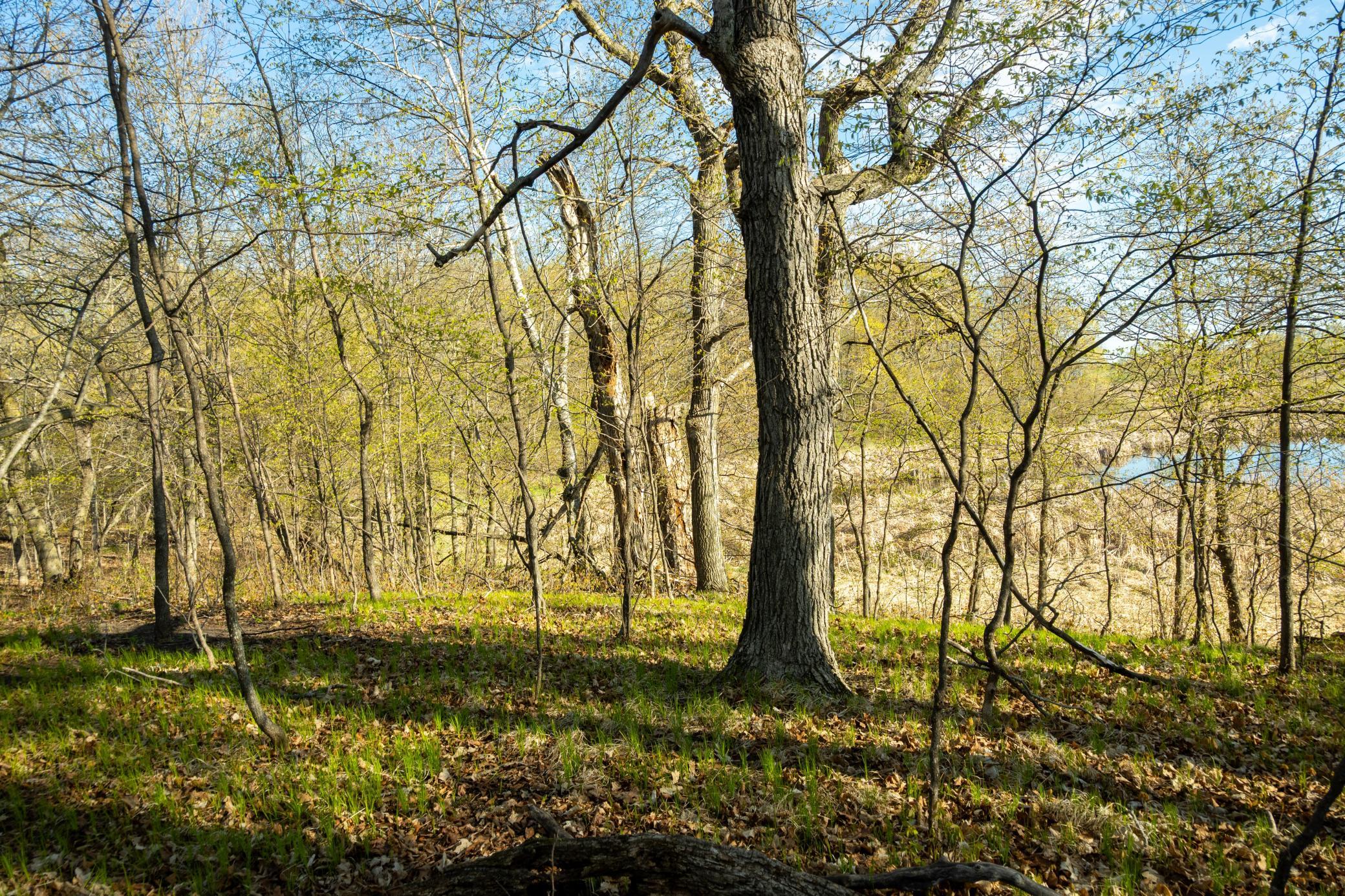 Tract A - Tbd State Highway 108 Property Photo 23