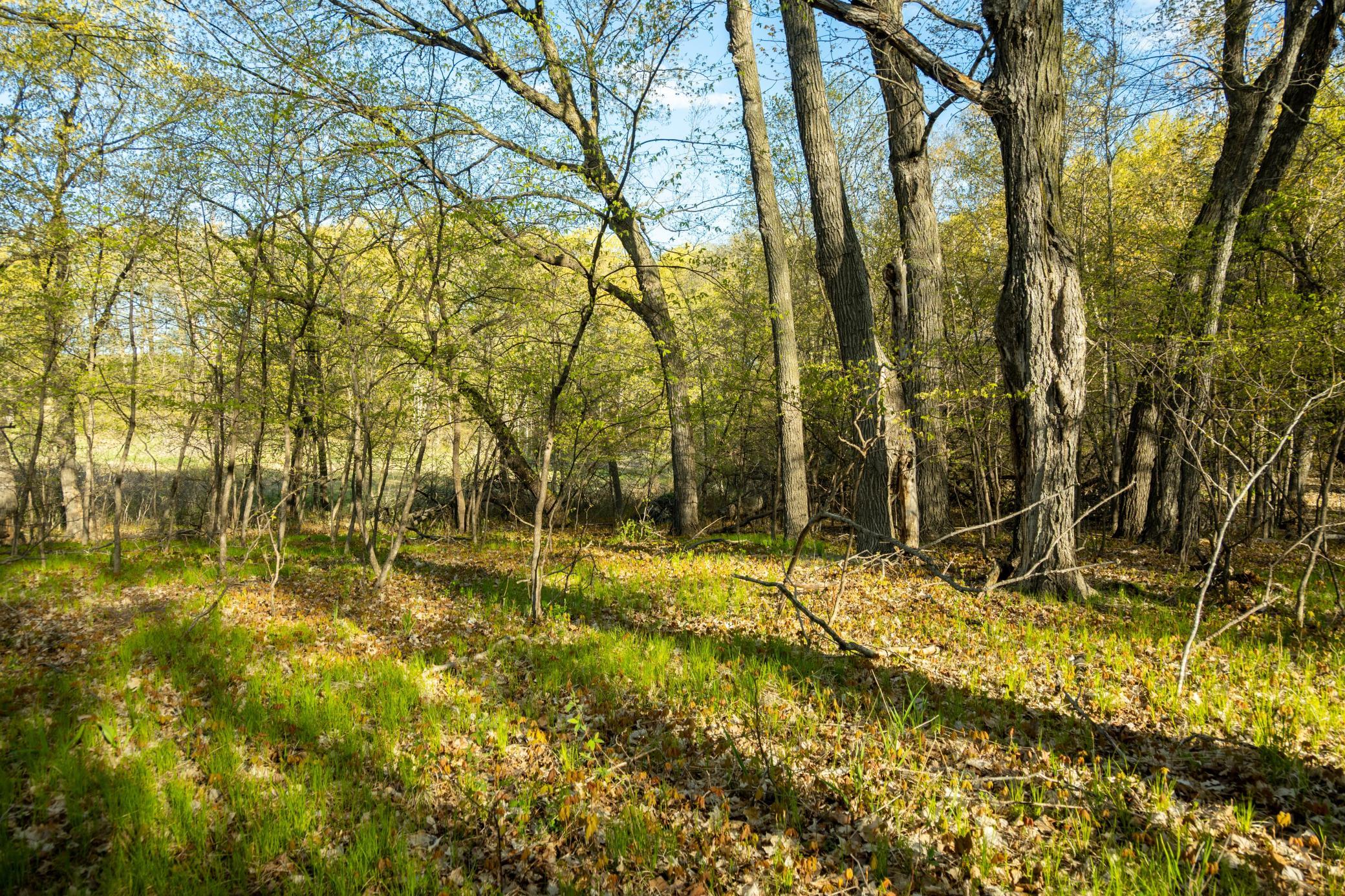 Tract A - Tbd State Highway 108 Property Photo 24