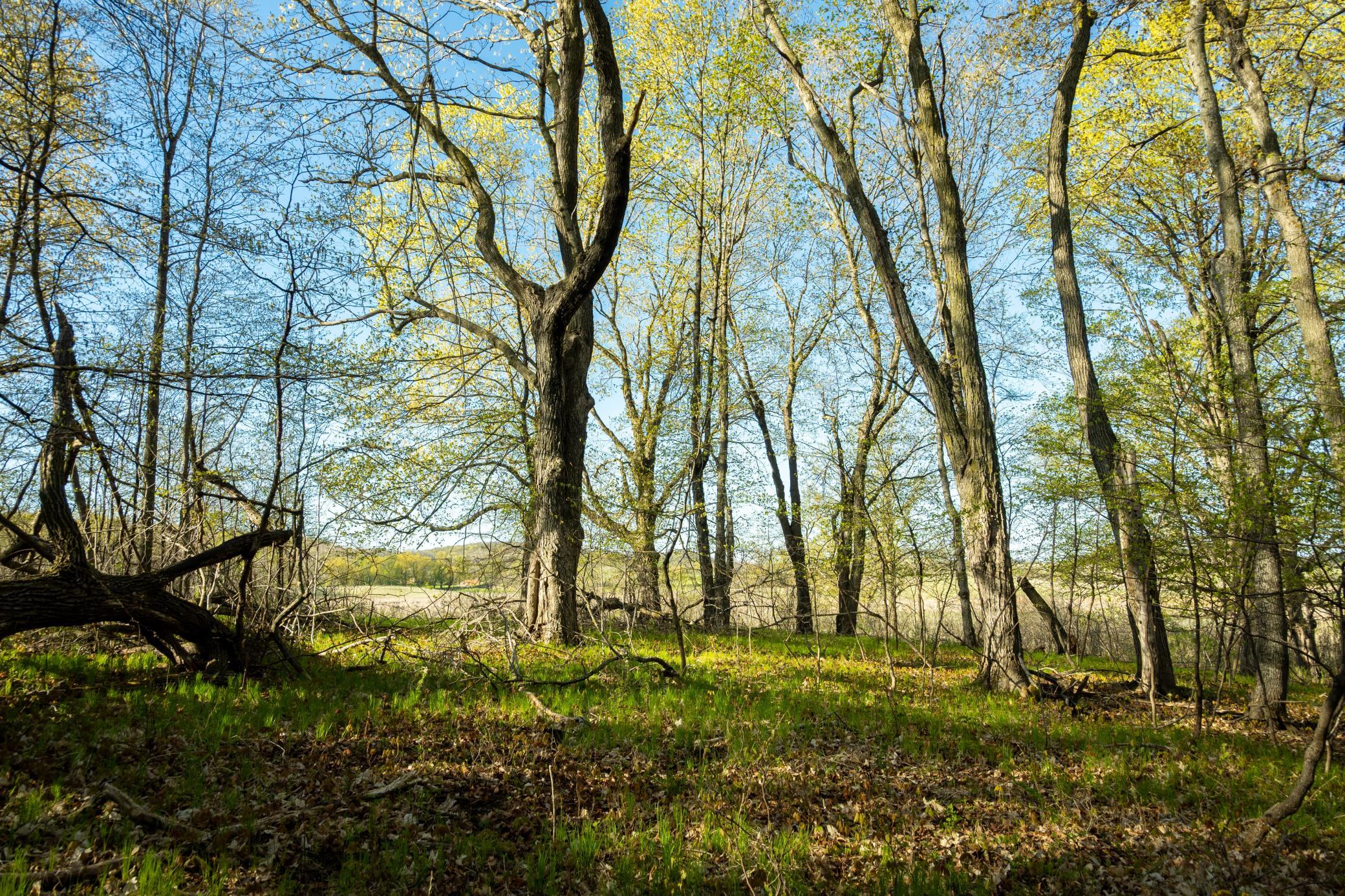 Tract A - Tbd State Highway 108 Property Photo 25