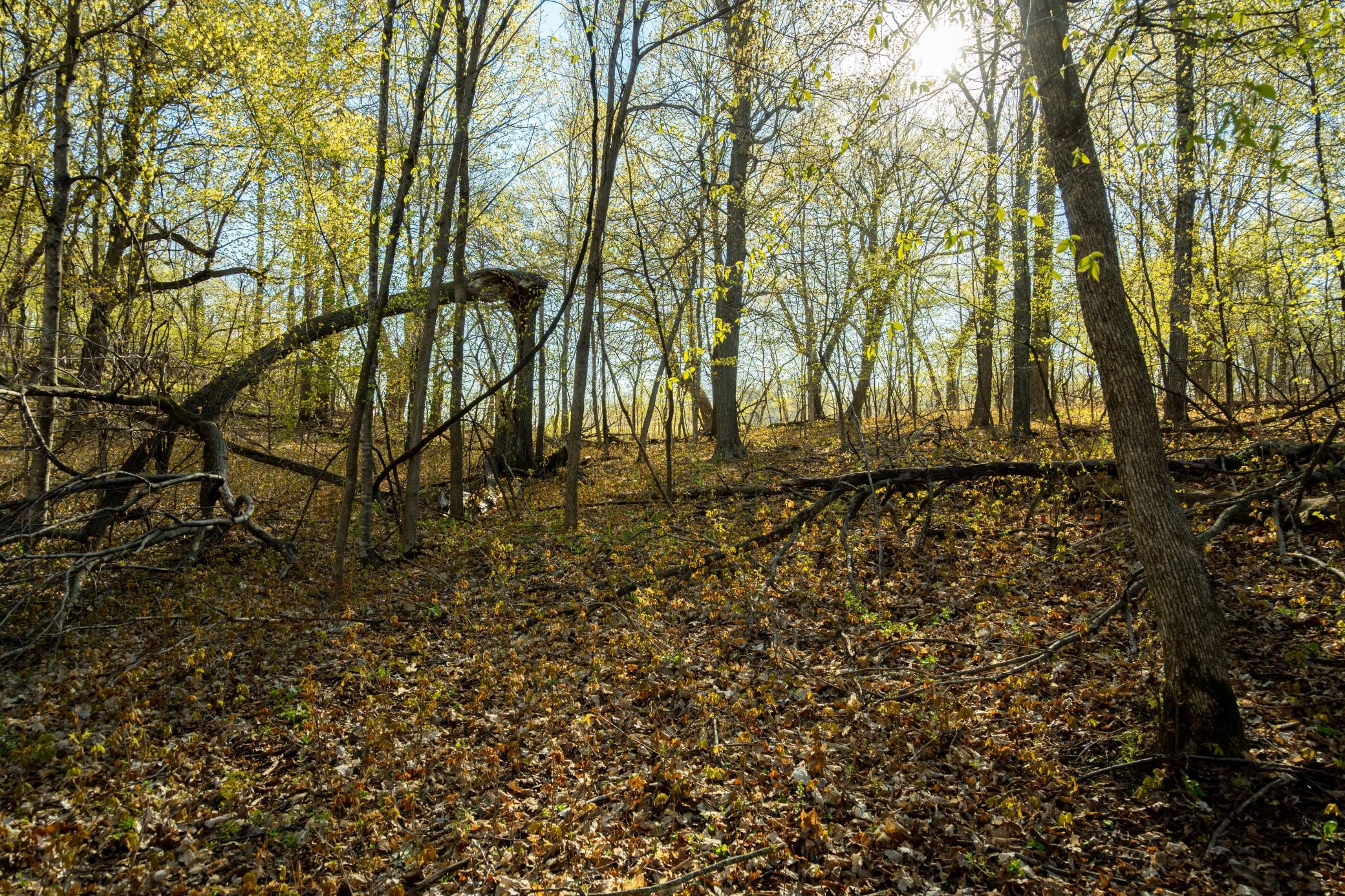 Tract A - Tbd State Highway 108 Property Photo 26