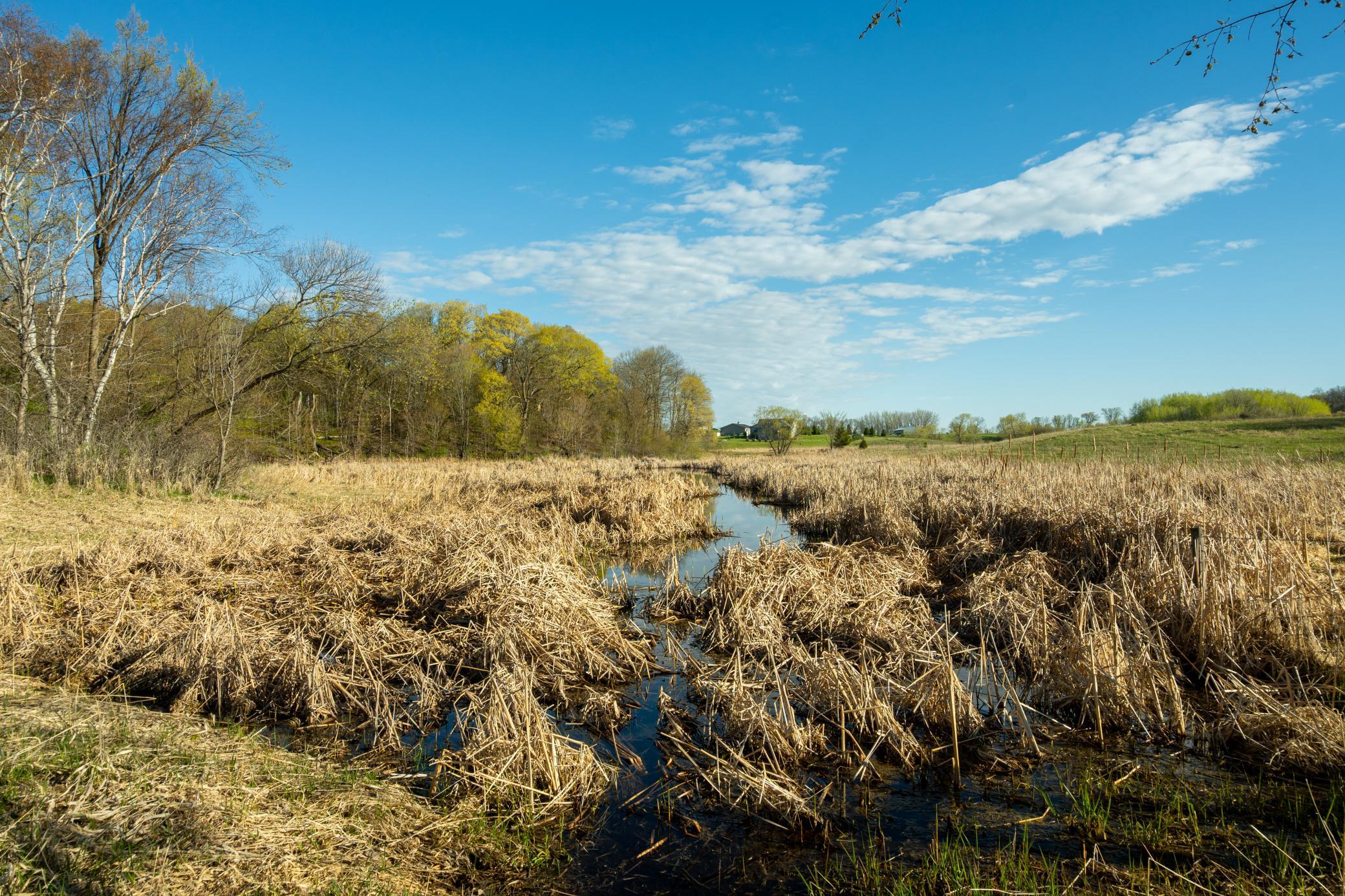 Tract A - Tbd State Highway 108 Property Photo 29