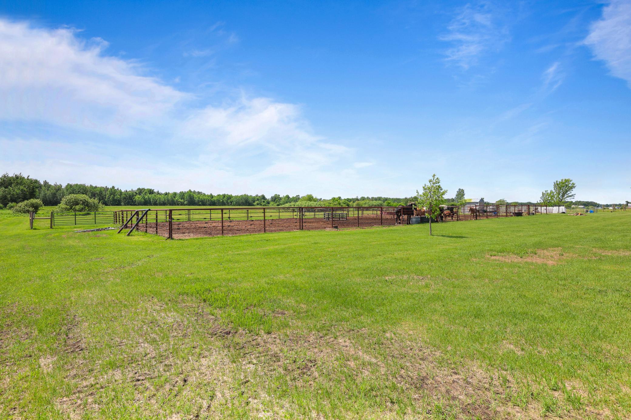 34713 73rd Street Property Photo 39