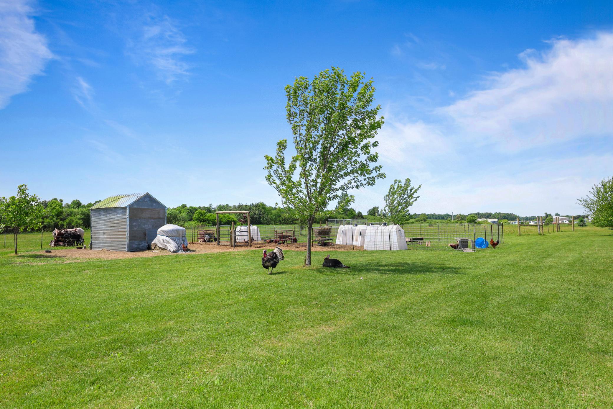 34713 73rd Street Property Photo 41