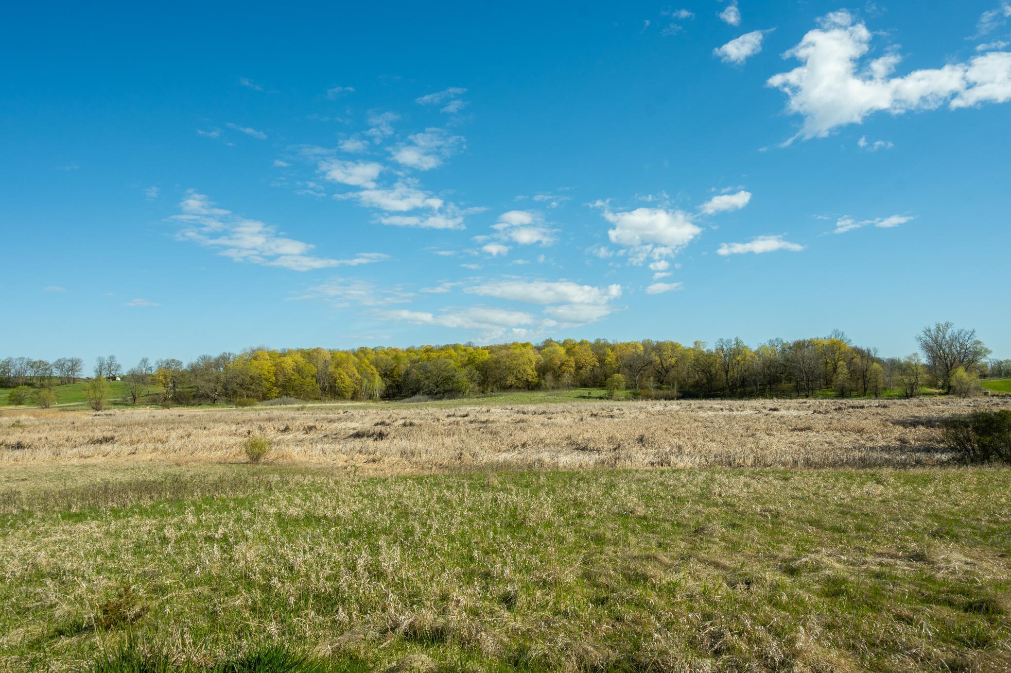 Tract B - Tbd State Highway 108 Property Photo 11