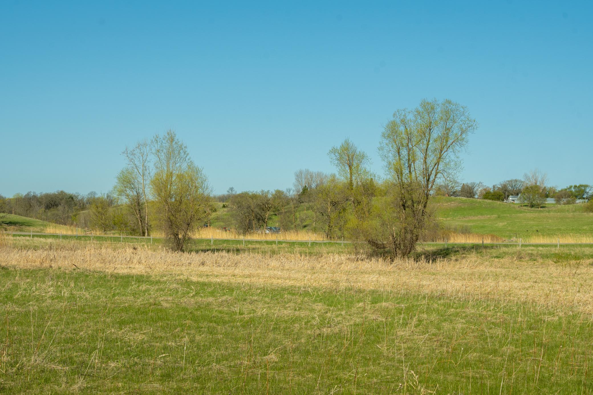 Tract B - Tbd State Highway 108 Property Photo 12