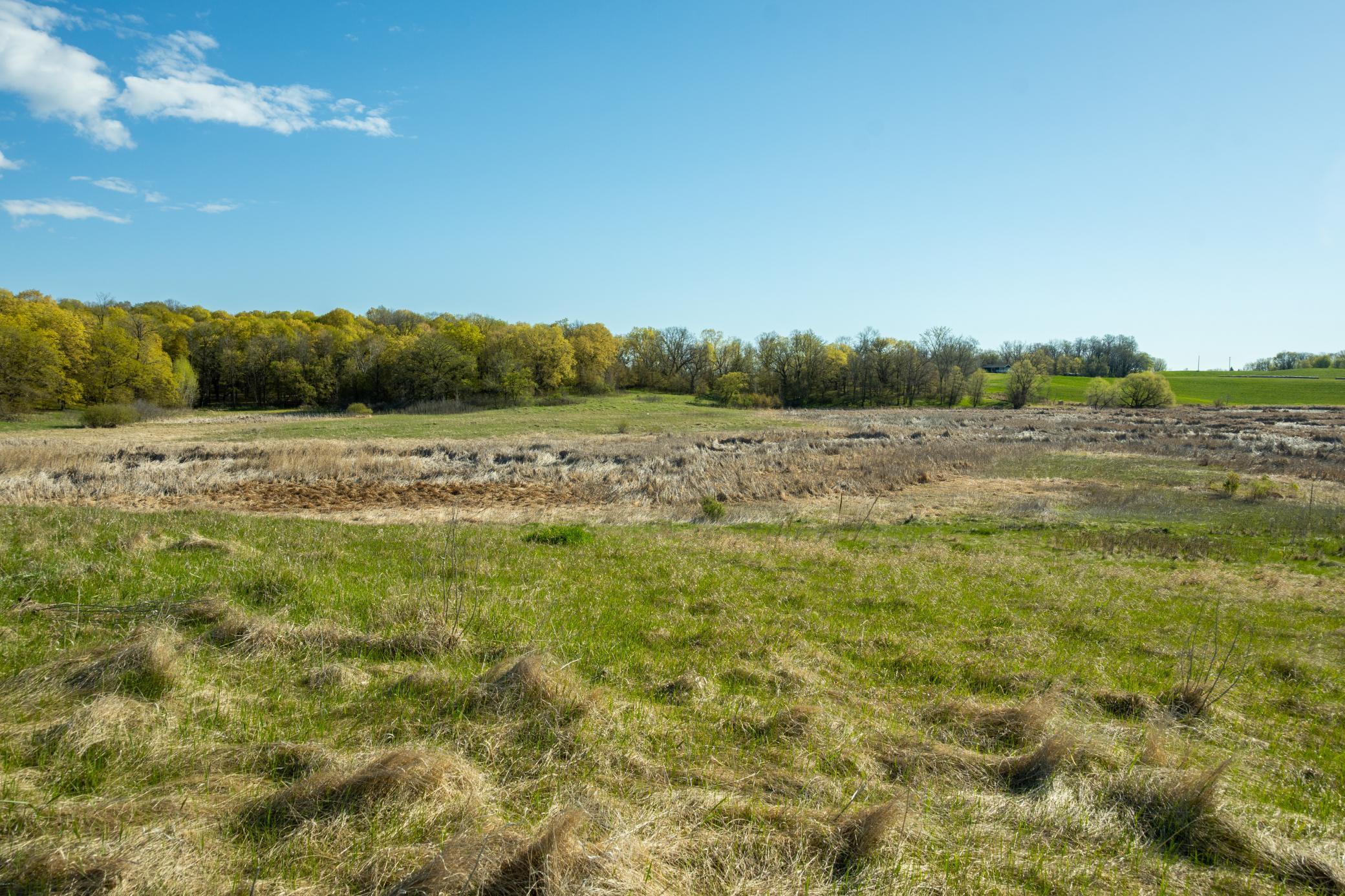 Tract B - Tbd State Highway 108 Property Photo 13