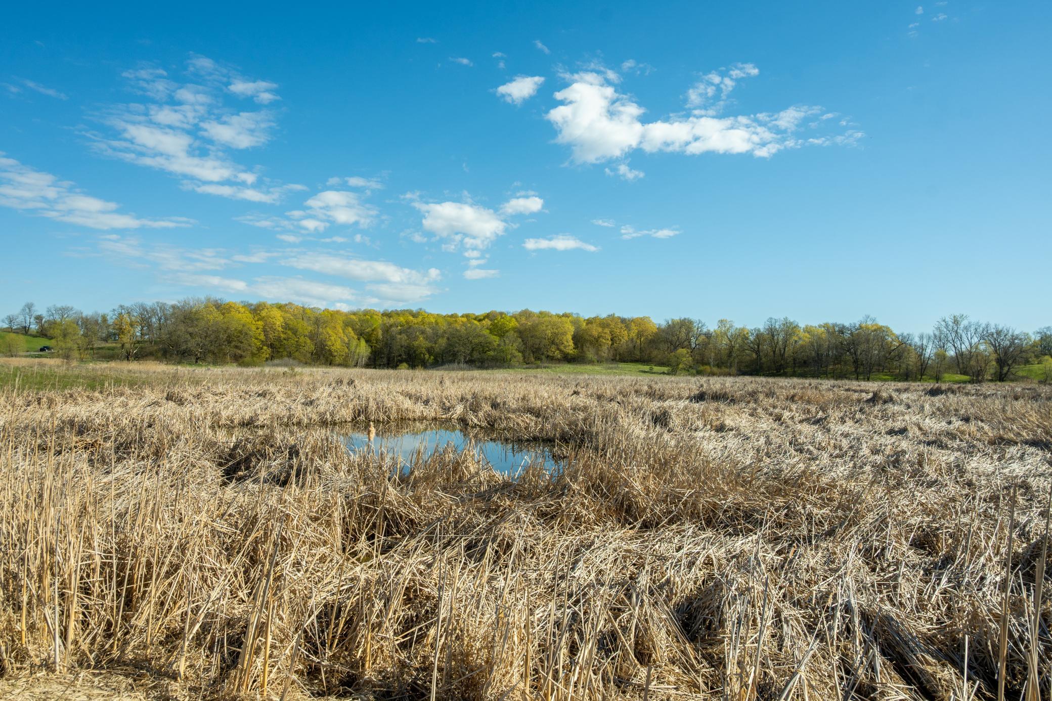 Tract B - Tbd State Highway 108 Property Photo 15