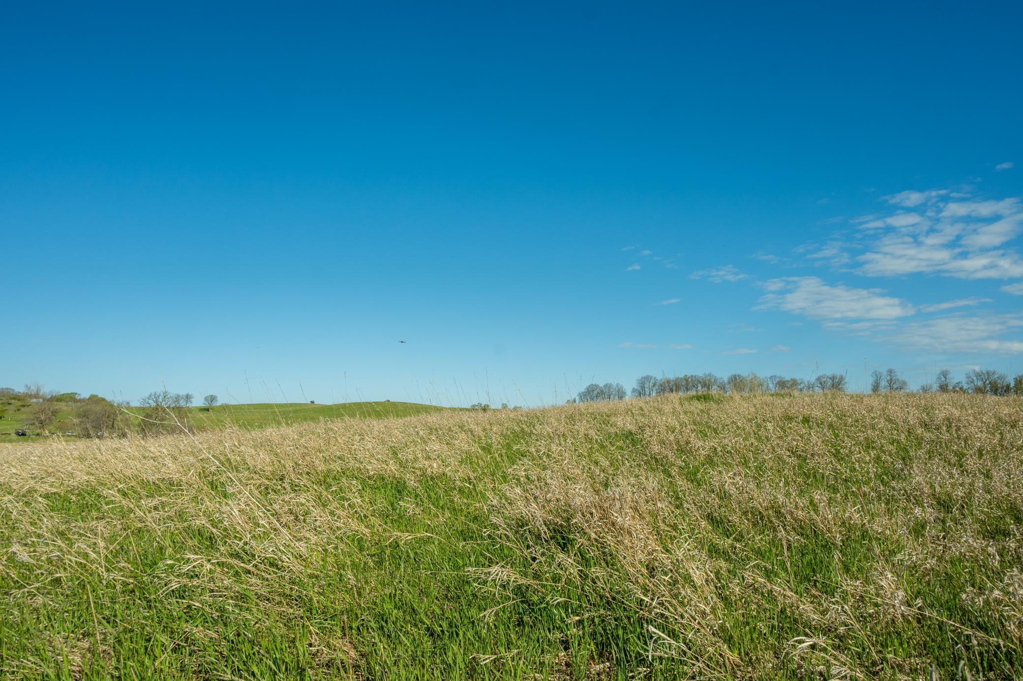 Tract B - Tbd State Highway 108 Property Photo 17