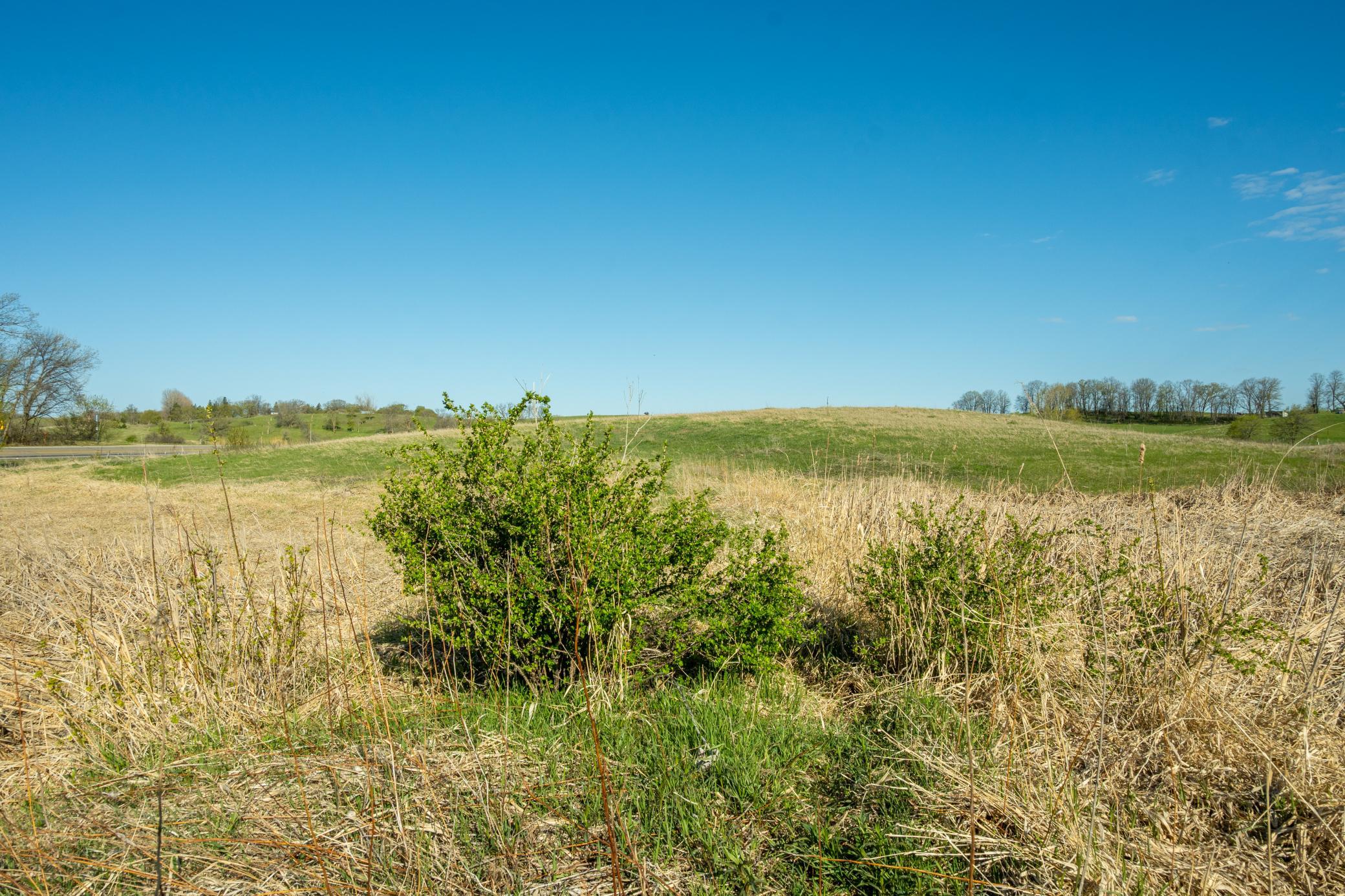 Tract B - Tbd State Highway 108 Property Photo 19