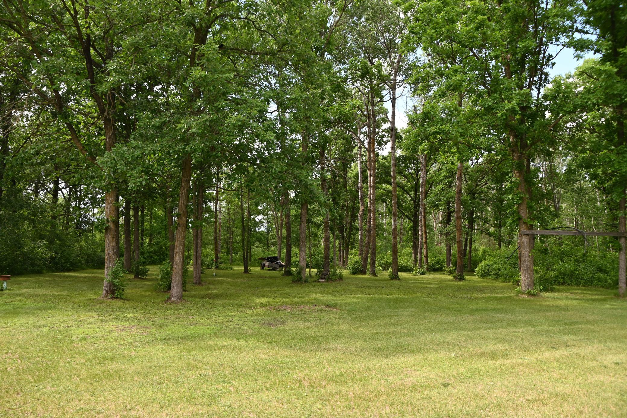 481 E River Road Property Photo 15