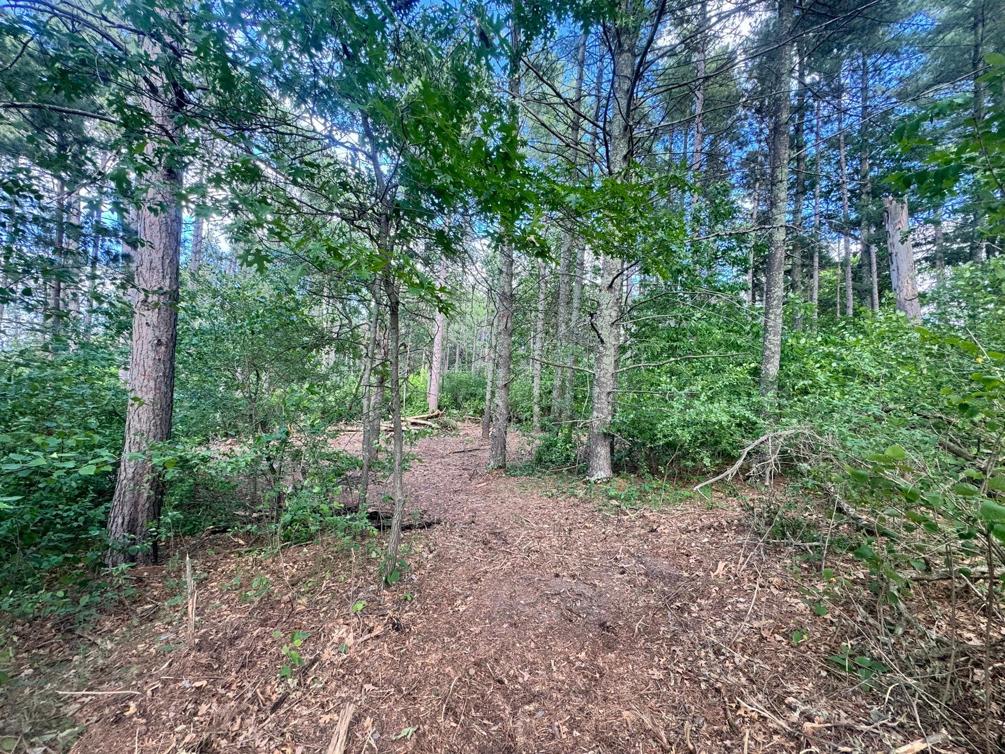 TBD Tract 1 County 13 Property Photo 1