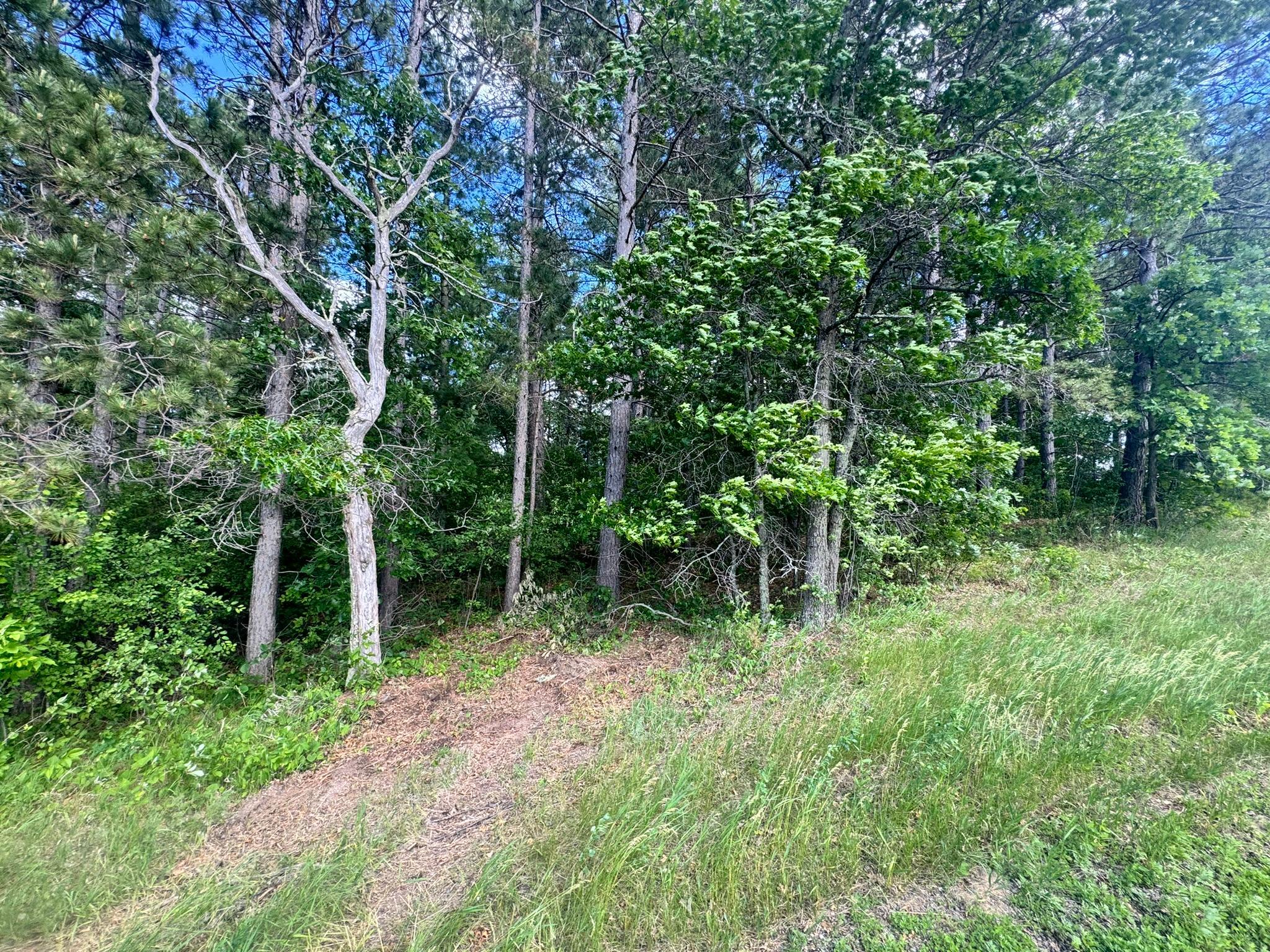 Tbd Tract 1 County 13 Property Photo 3