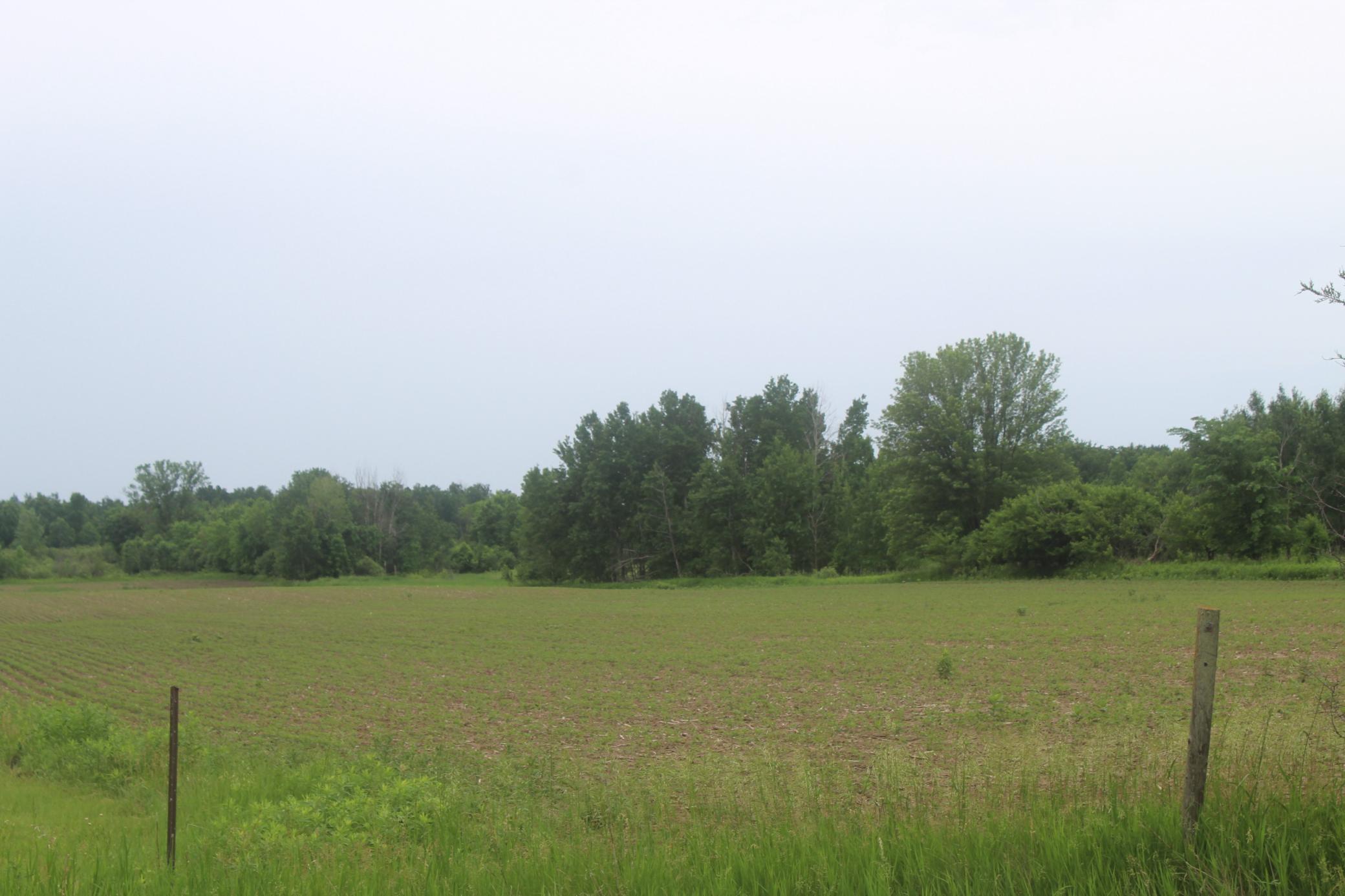 Tbd-1 120th Avenue Property Photo 1