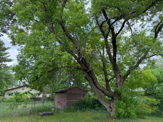 407 Lake Avenue Property Photo 4
