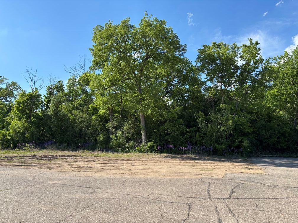 176 Highway 212 E Property Photo 5