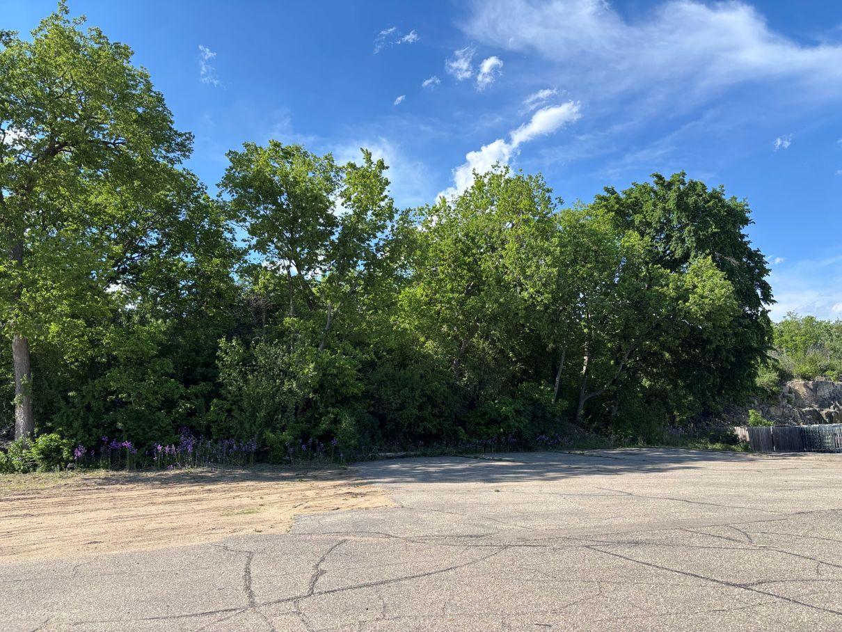 176 Highway 212 E Property Photo 6
