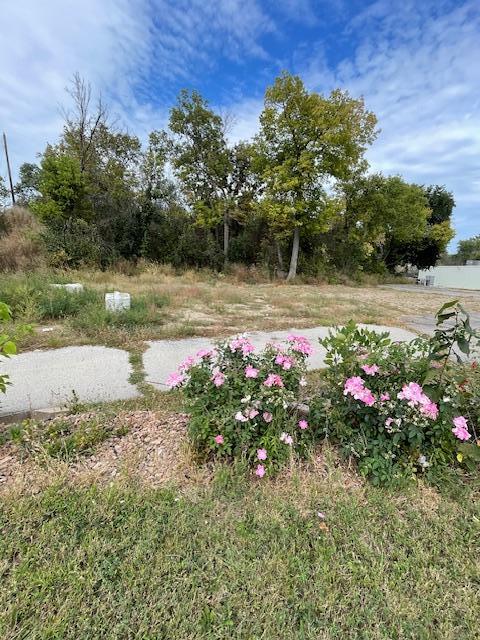 176 Highway 212 E Property Photo 7