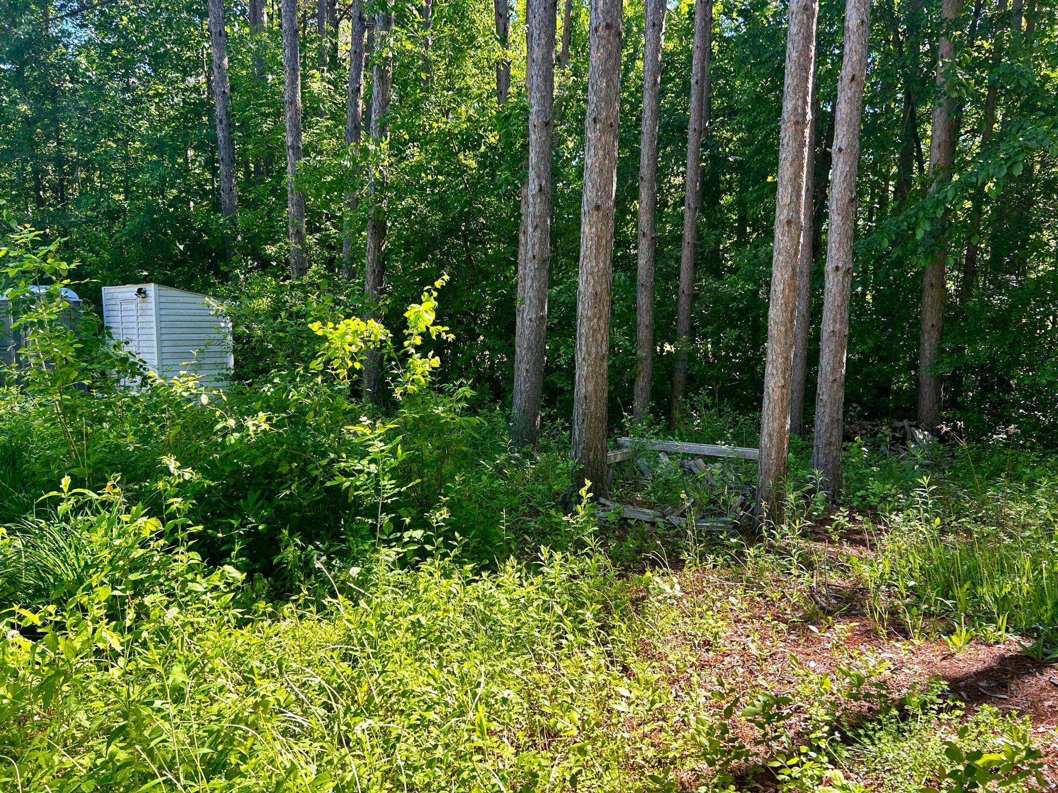2638 Pine Lane Property Photo 24