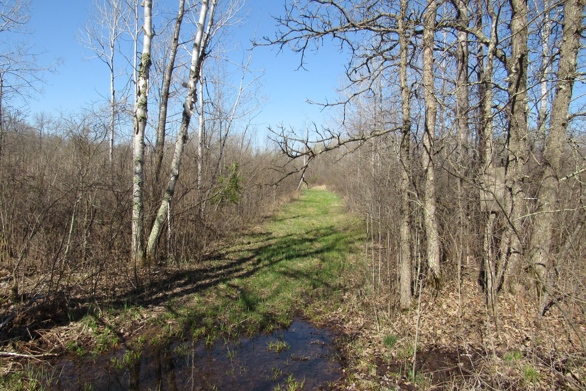 Tbd-1 County Road 41 Property Photo 5