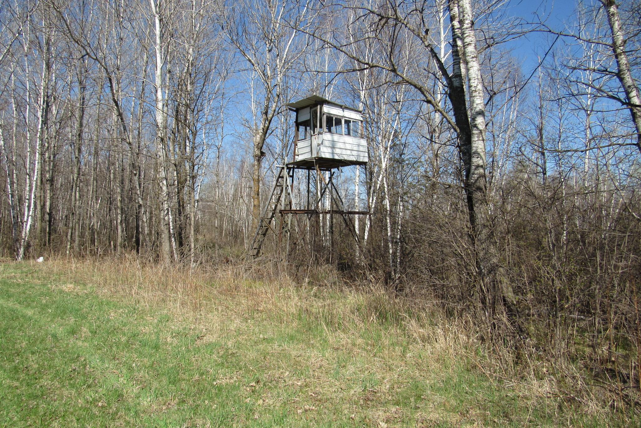 Tbd-1 County Road 41 Property Photo 6