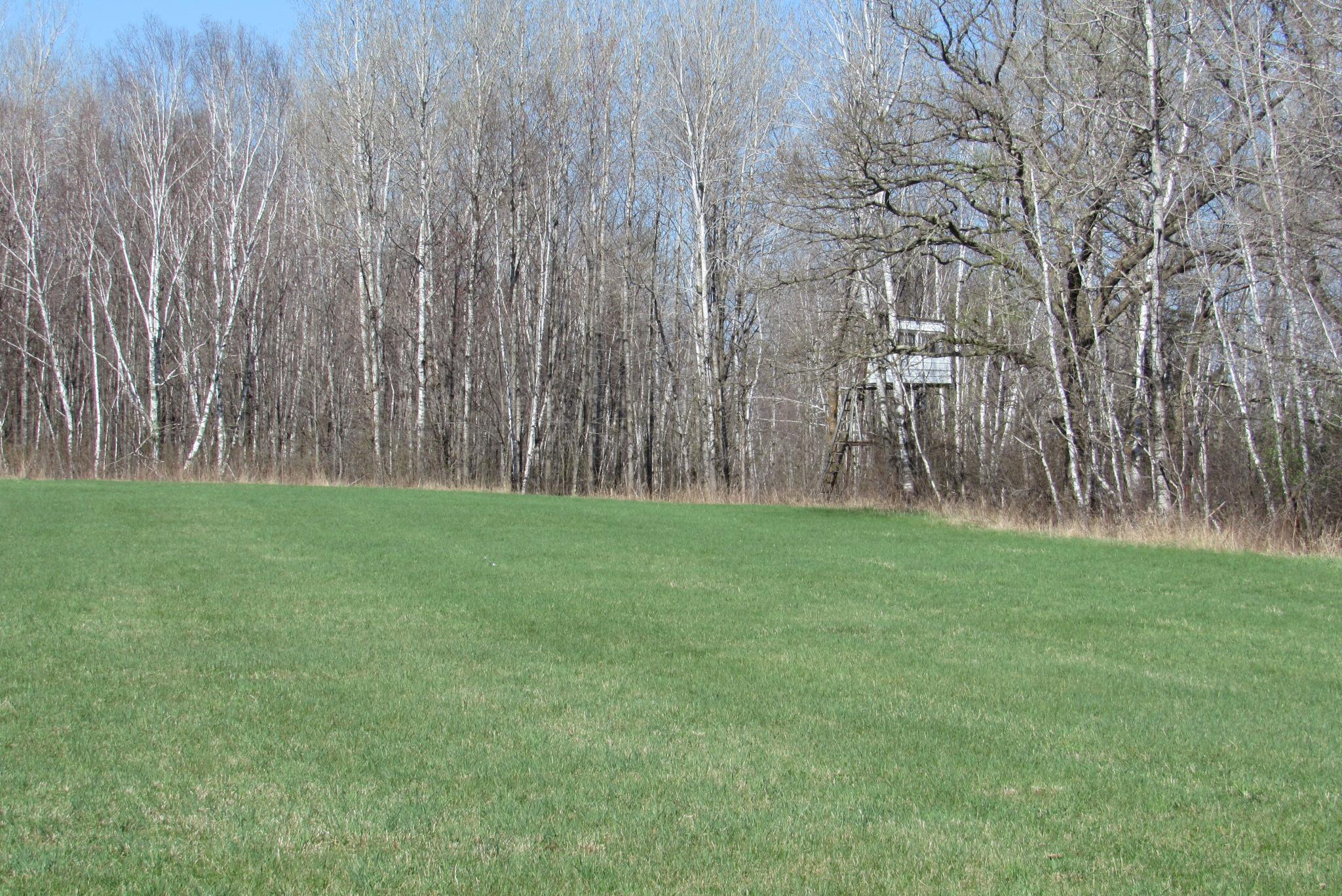 Tbd-1 County Road 41 Property Photo 7