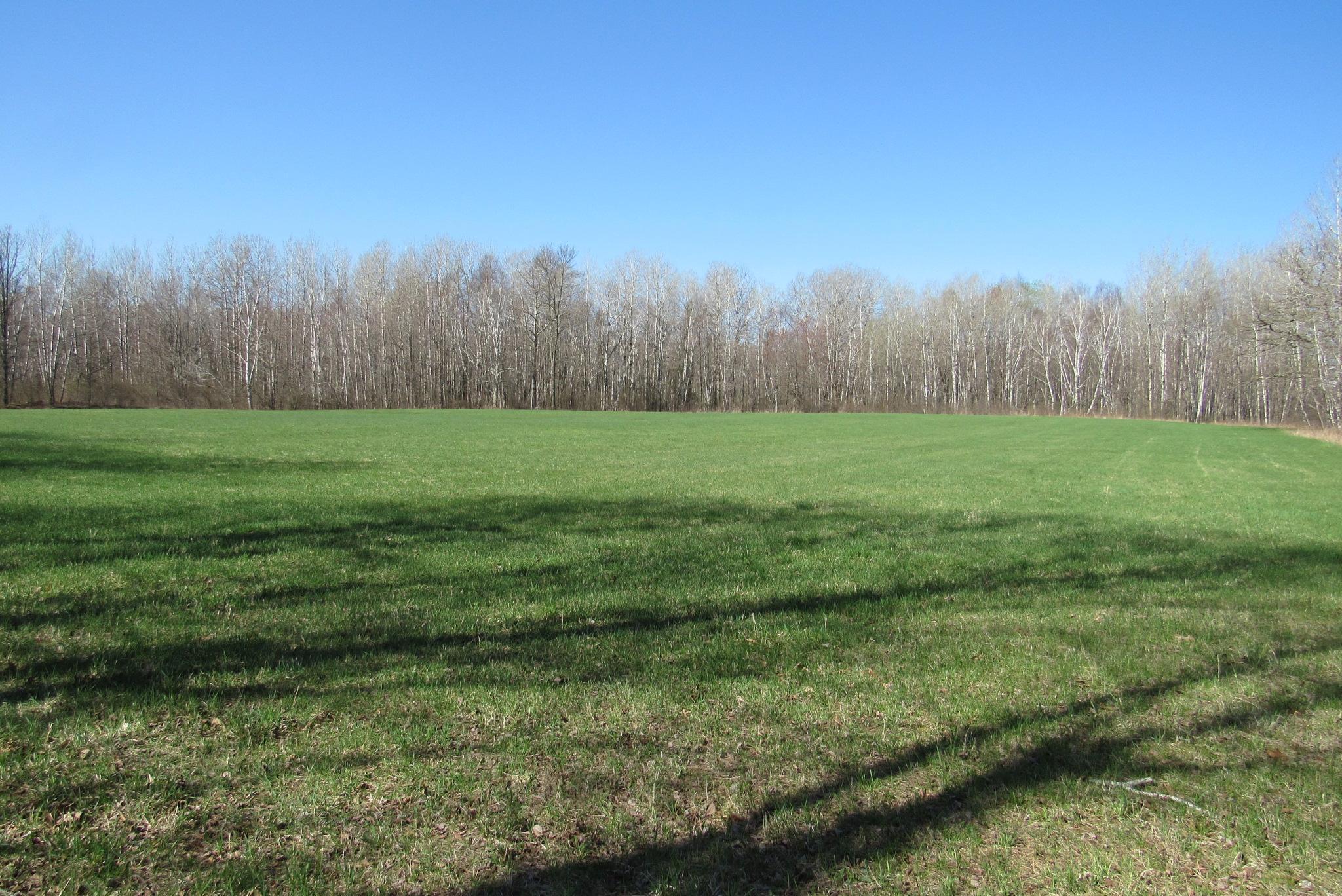 Tbd-1 County Road 41 Property Photo 8