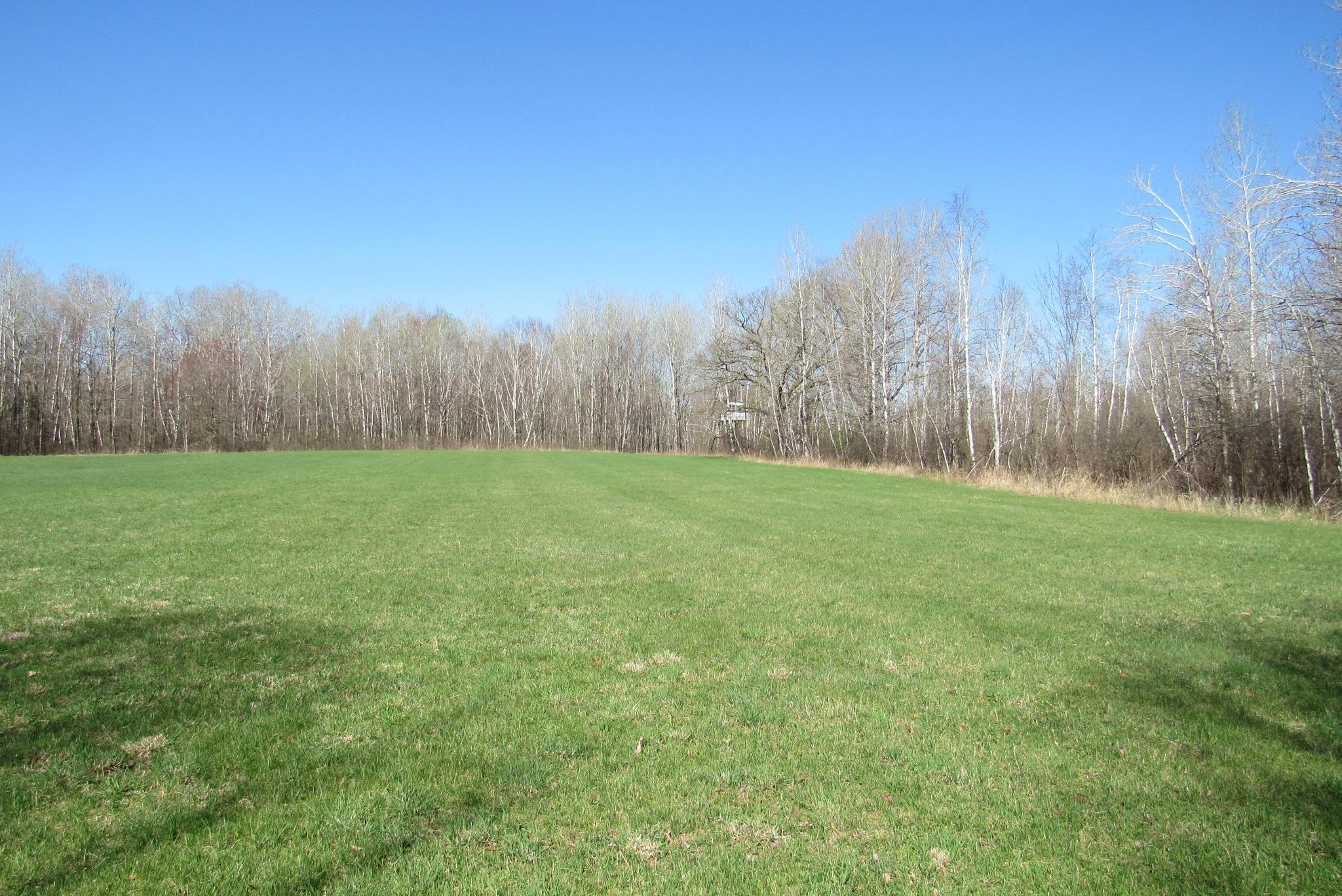 Tbd-1 County Road 41 Property Photo 9