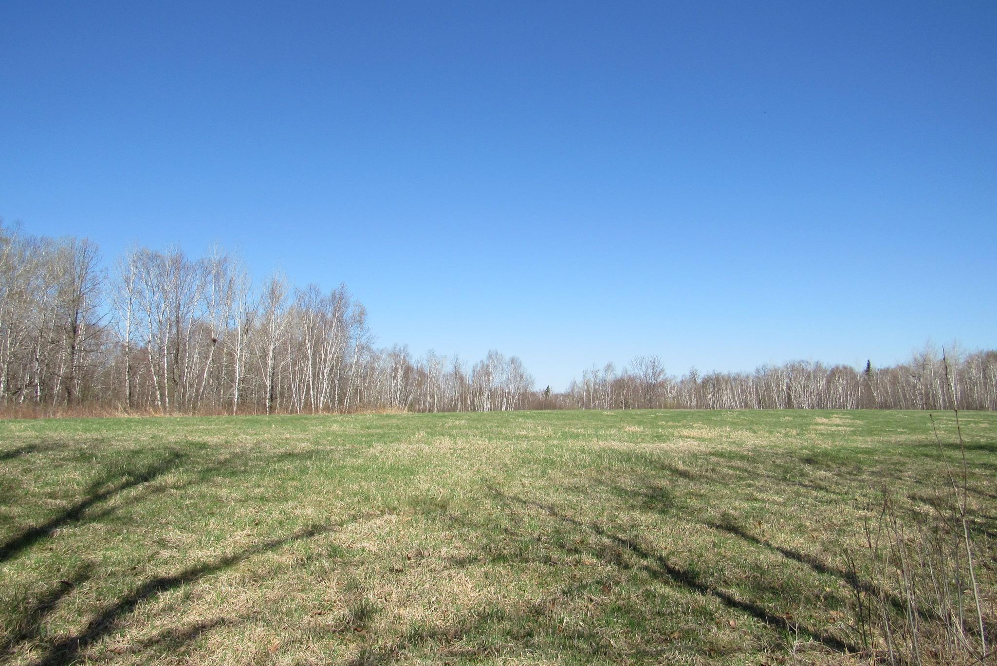 Tbd-1 County Road 41 Property Photo 10