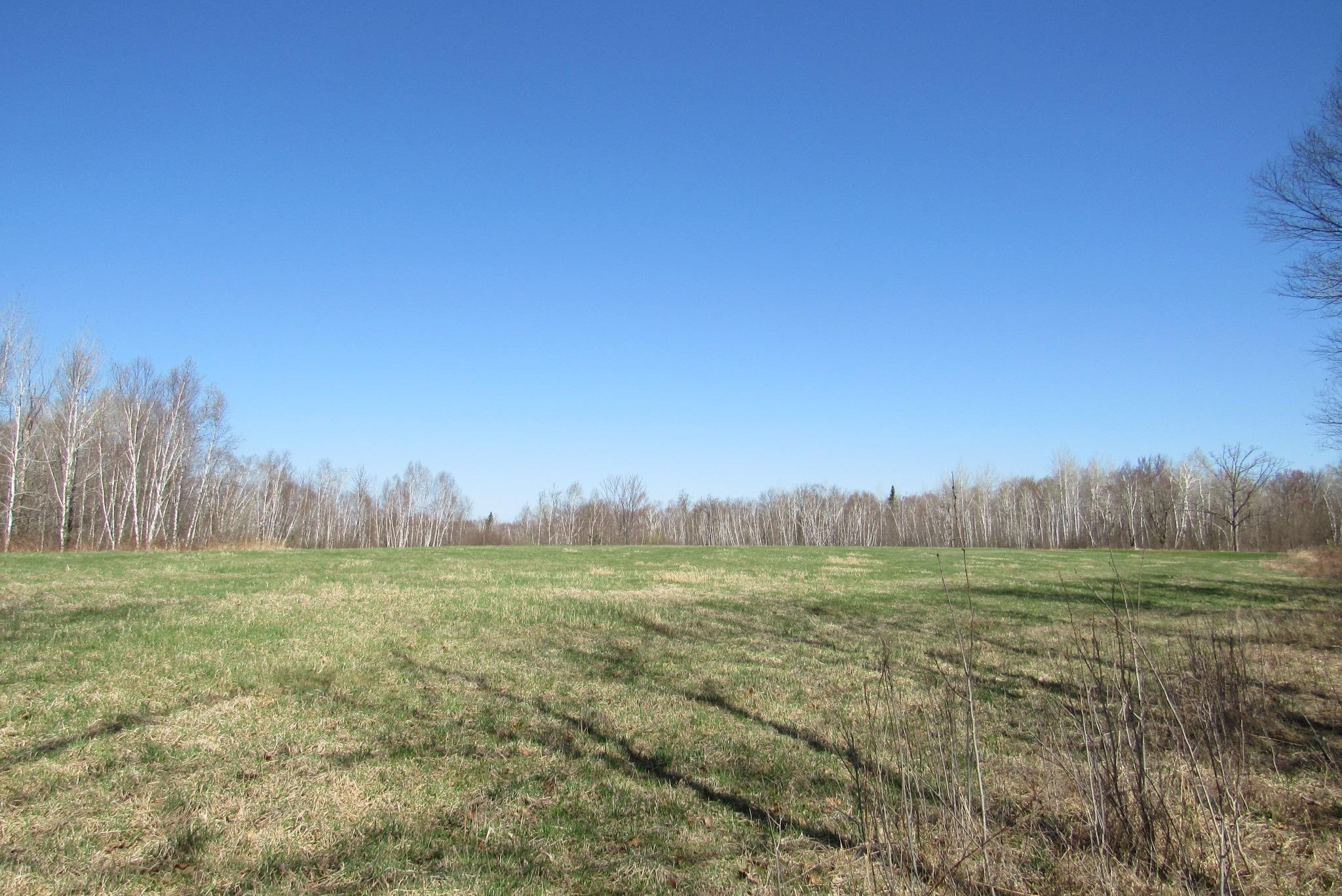 Tbd-1 County Road 41 Property Photo 11