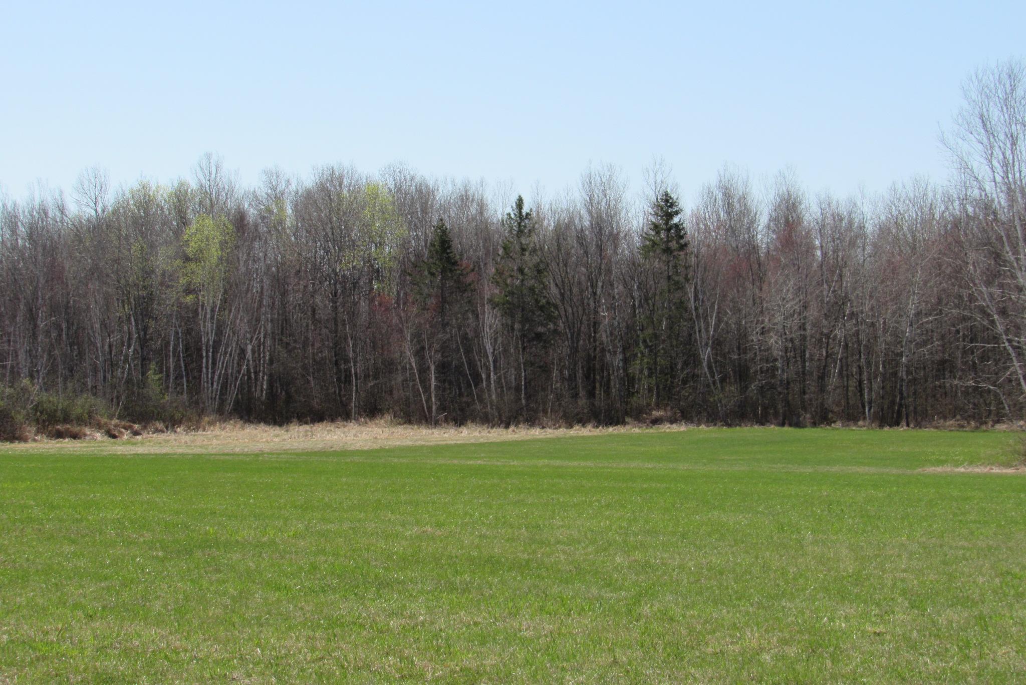 Tbd-1 County Road 41 Property Photo 12
