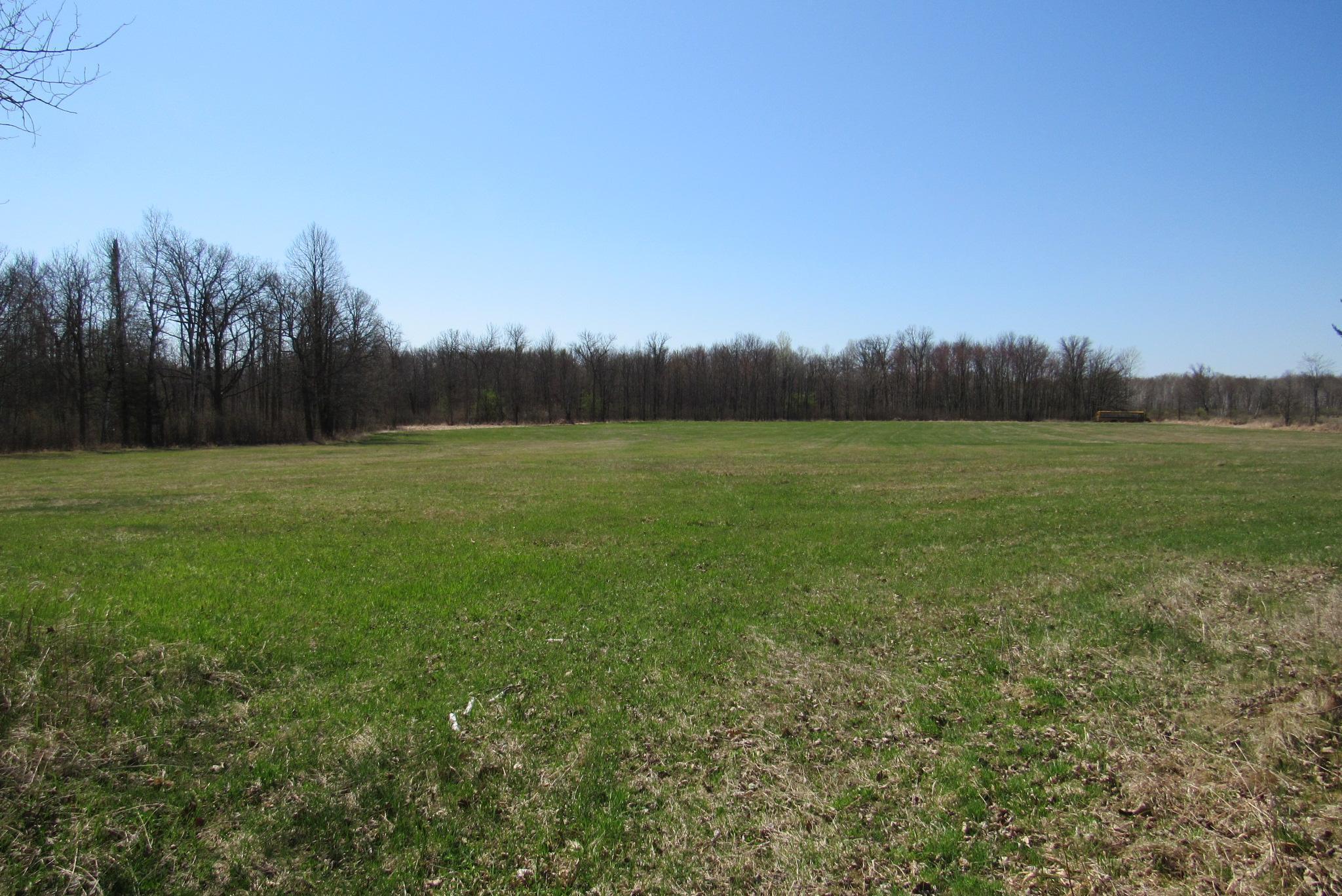 Tbd-2 County Road 41 Property Photo 2