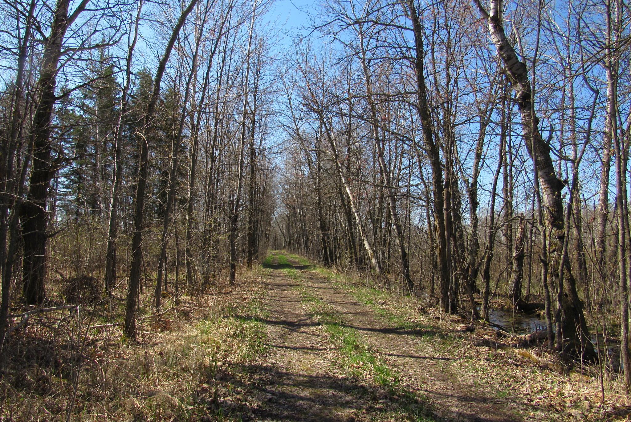 Tbd-2 County Road 41 Property Photo 6