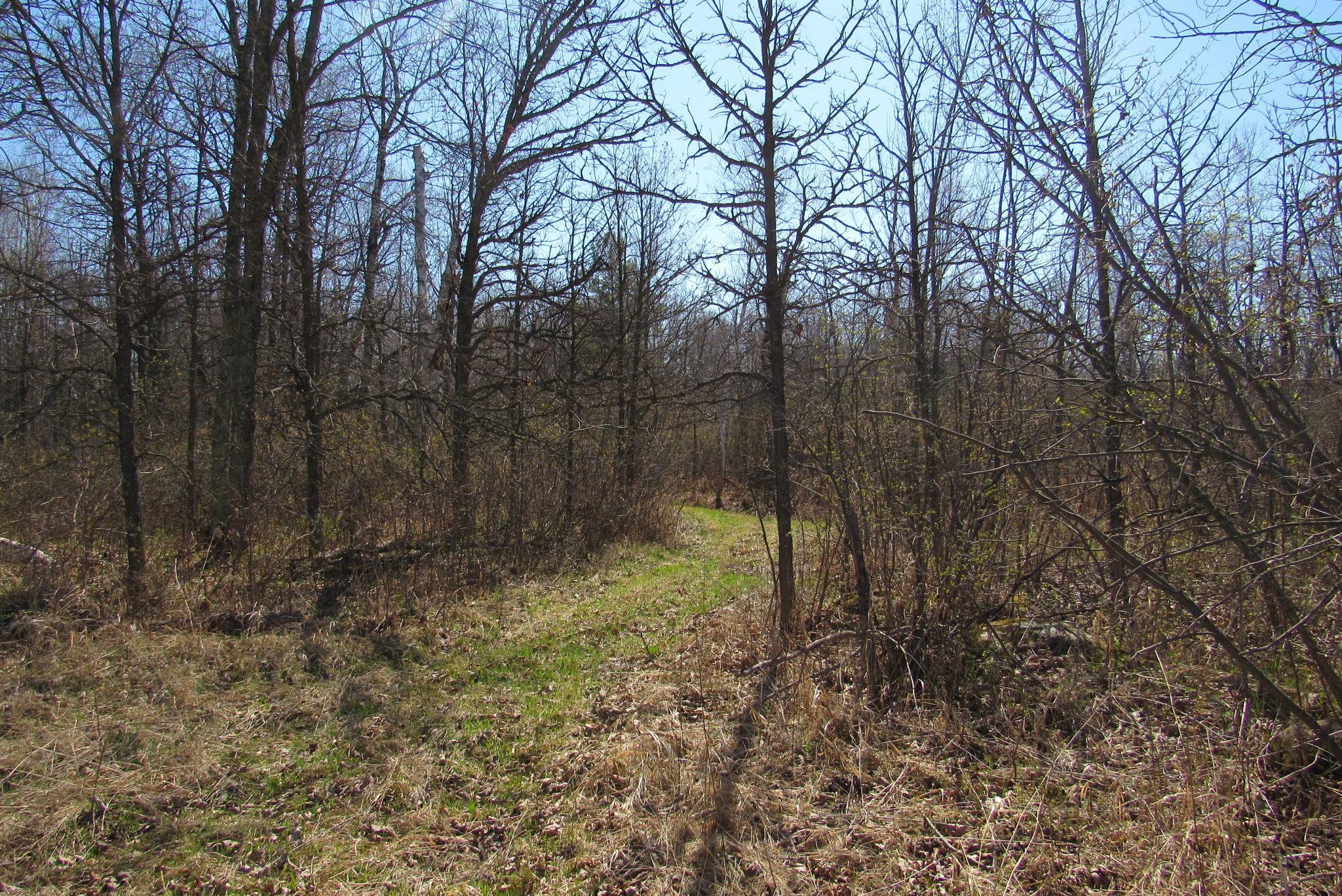 Tbd-2 County Road 41 Property Photo 7