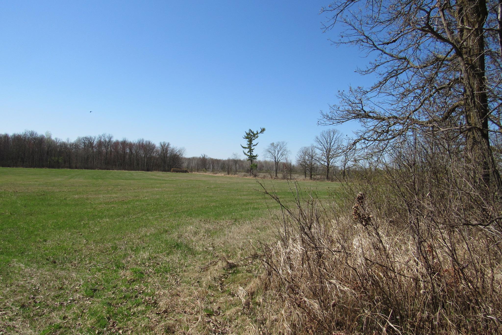 Tbd-2 County Road 41 Property Photo 9