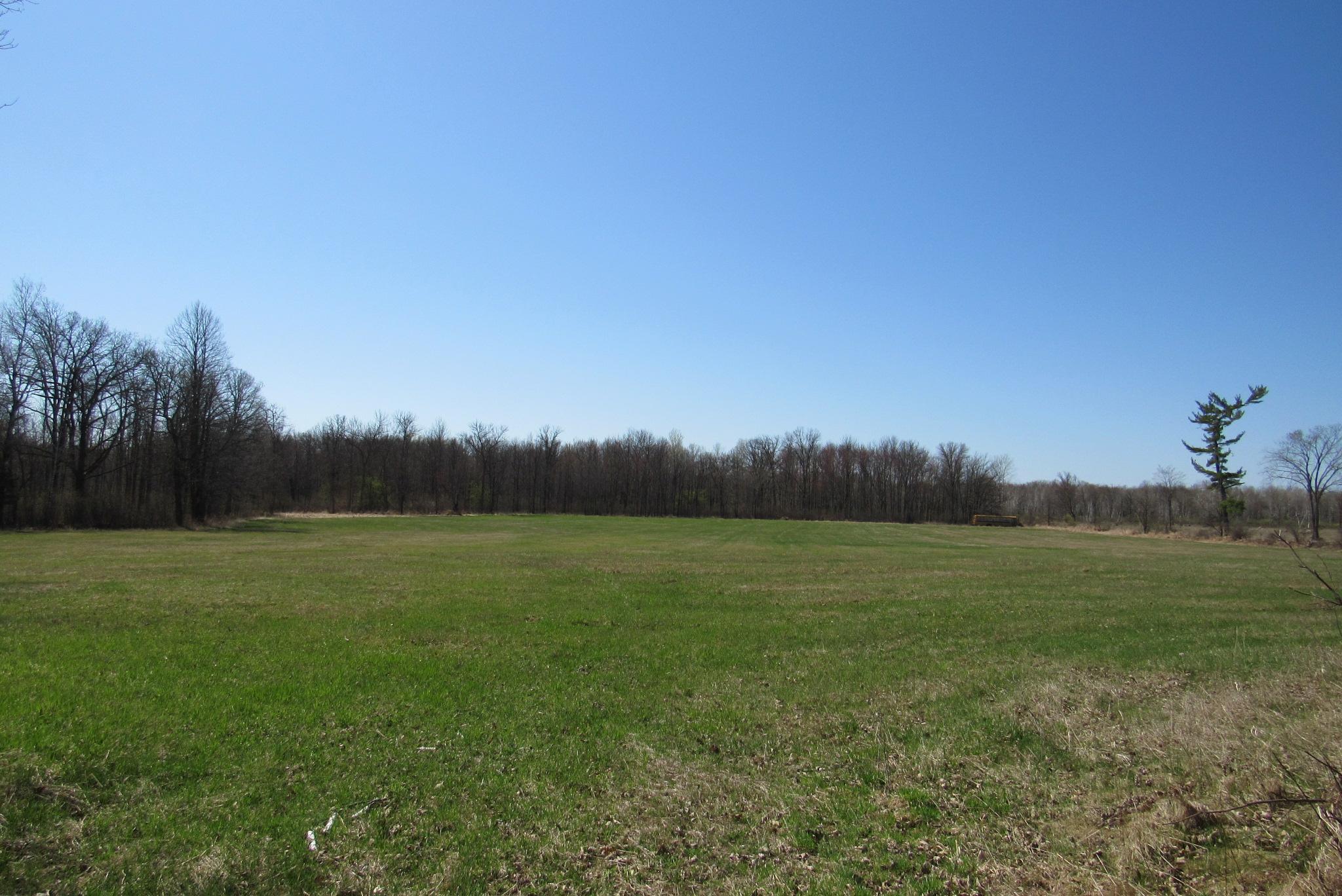 Tbd-2 County Road 41 Property Photo 10