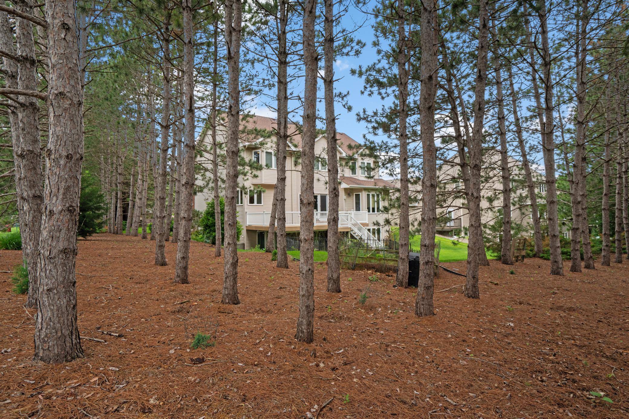 8197 Drexel Court Property Photo 3
