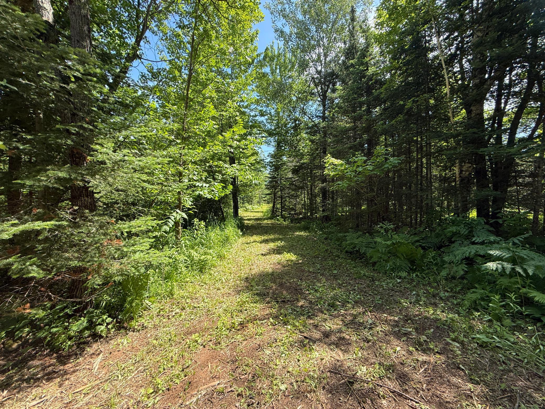 Tbd Arnold Rd. Property Photo 12