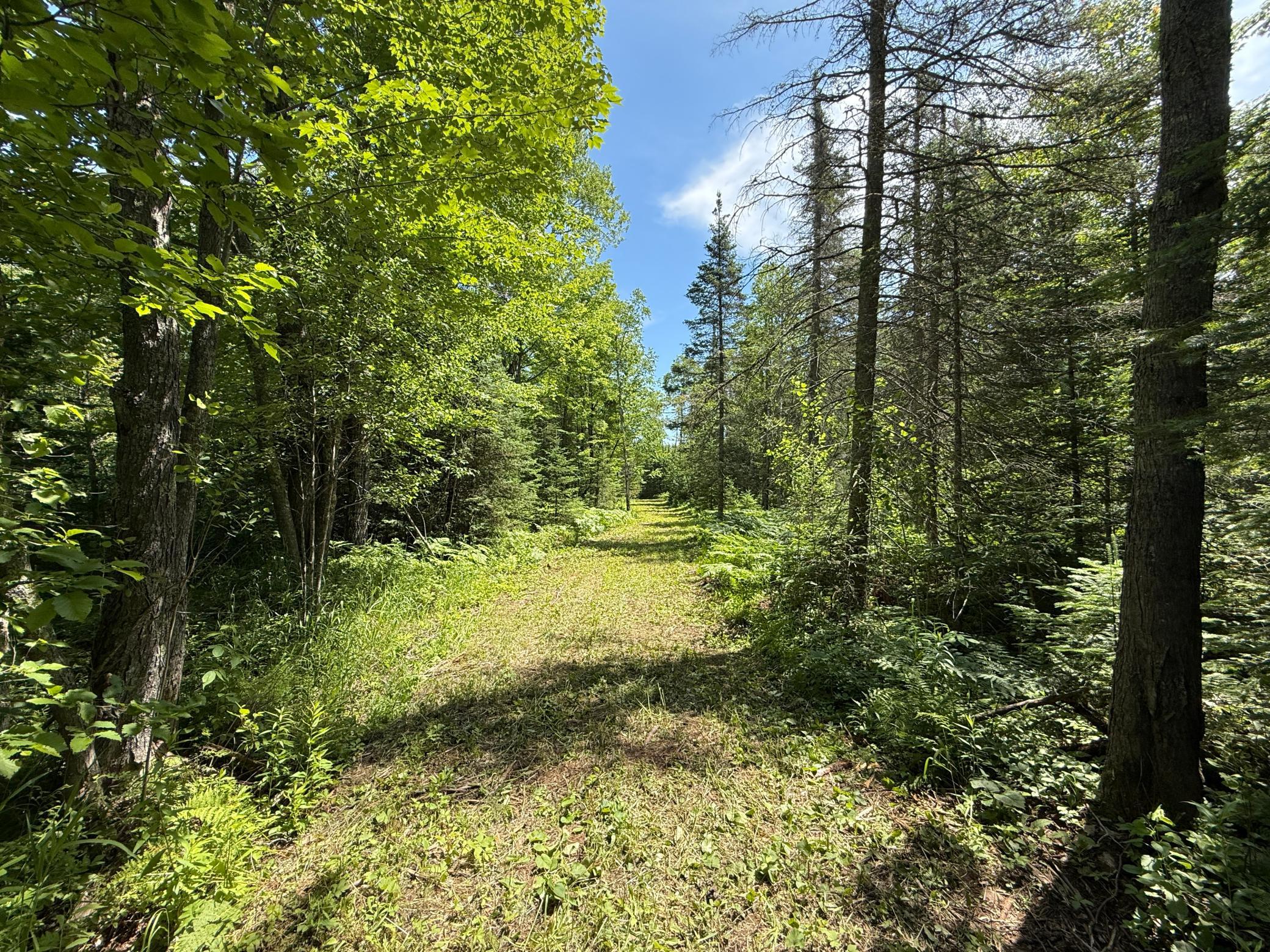 Tbd Arnold Rd. Property Photo 13