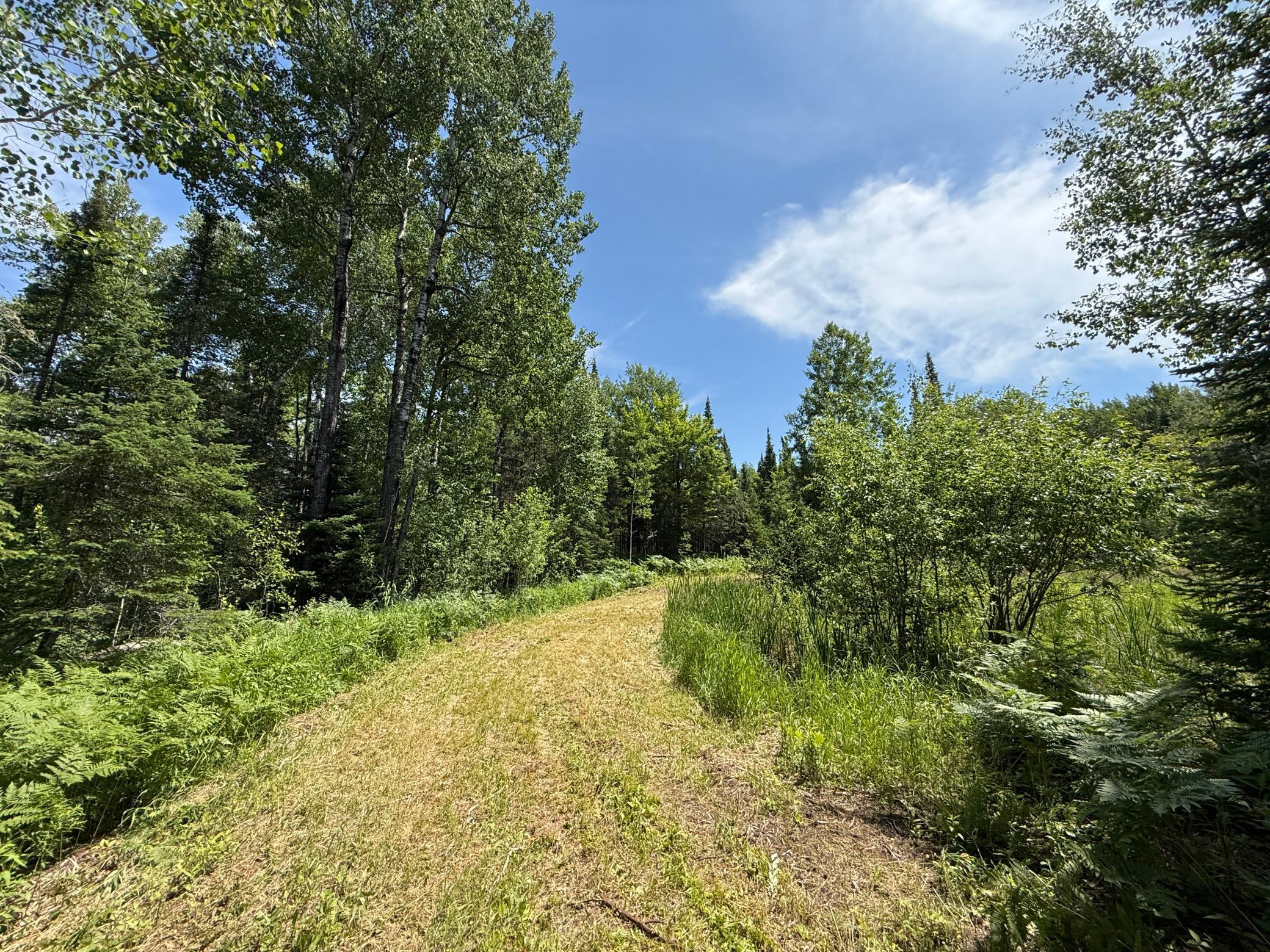 Tbd Arnold Rd. Property Photo 18
