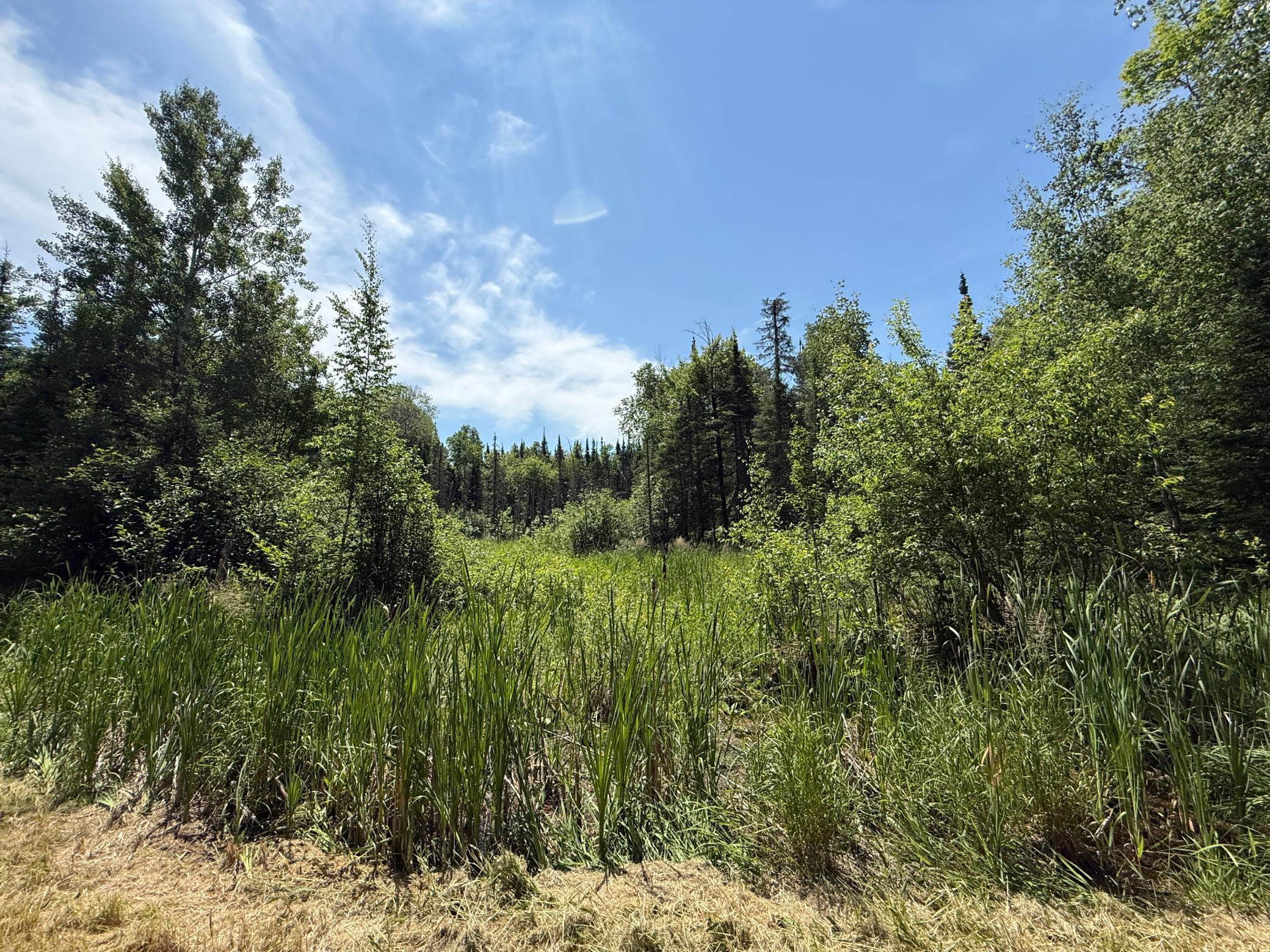 Tbd Arnold Rd. Property Photo 19