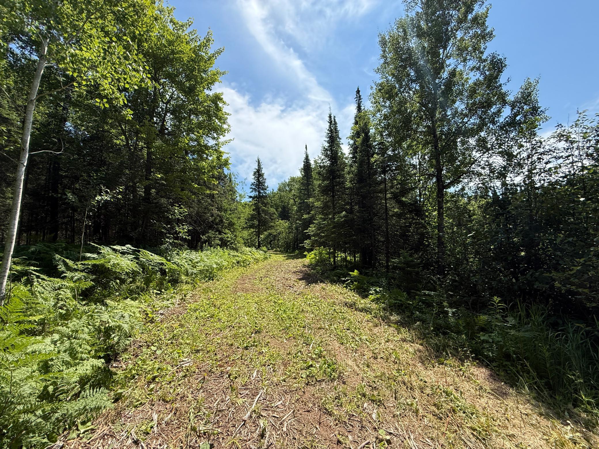 Tbd Arnold Rd. Property Photo 20