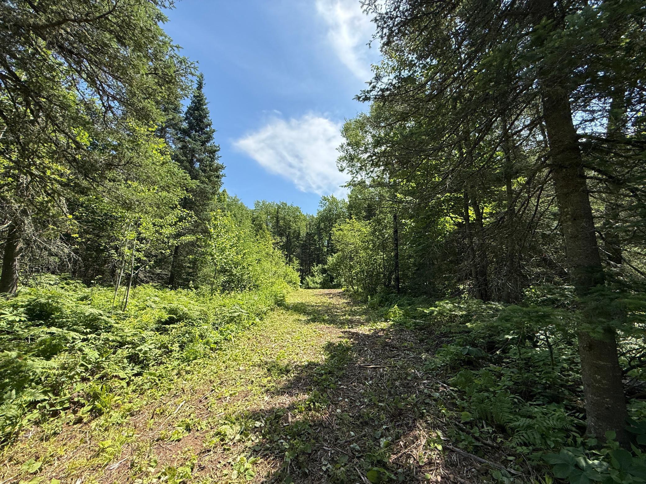 Tbd Arnold Rd. Property Photo 21